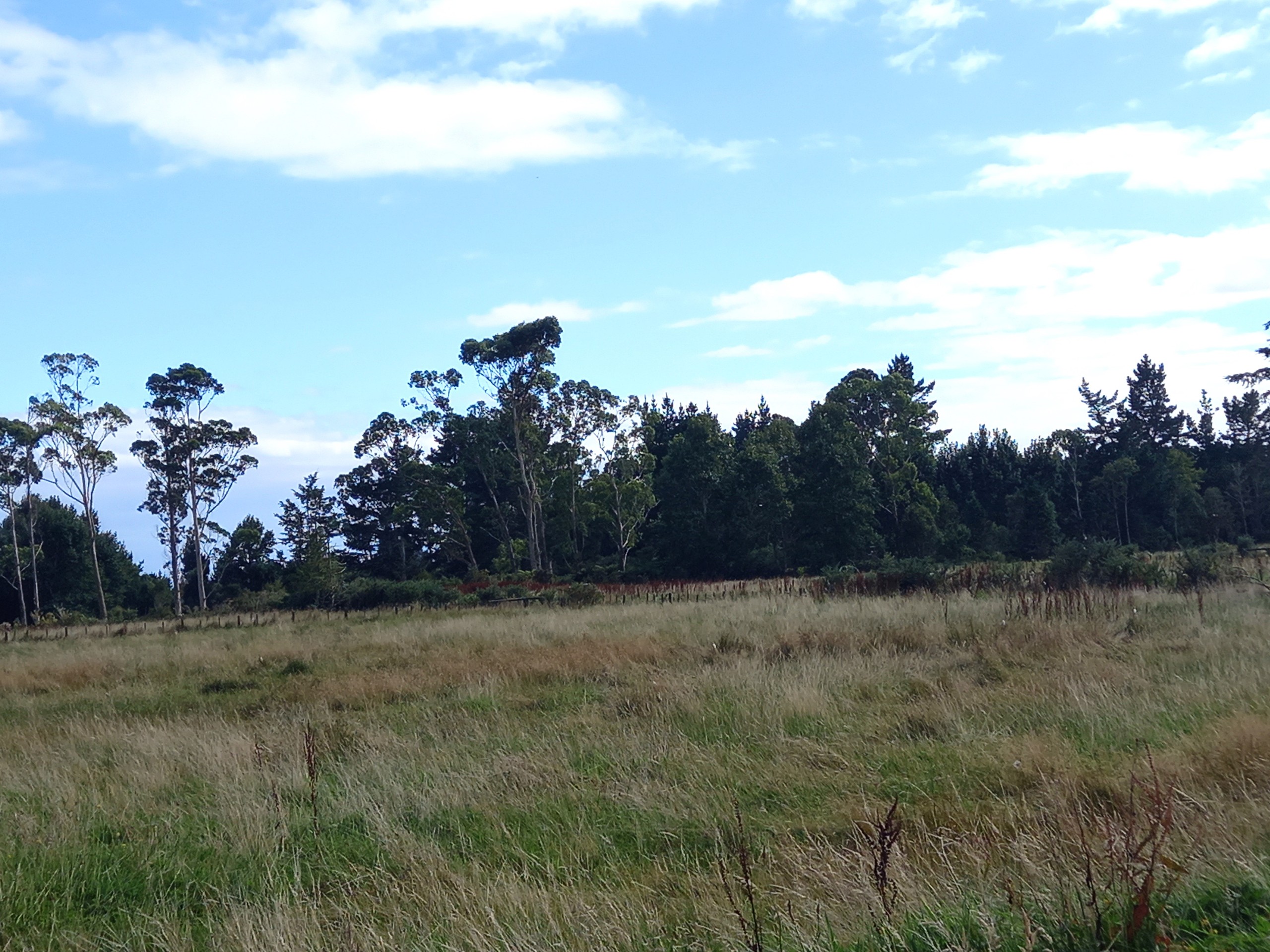 0 Crows Nest Road, Westport, Buller District