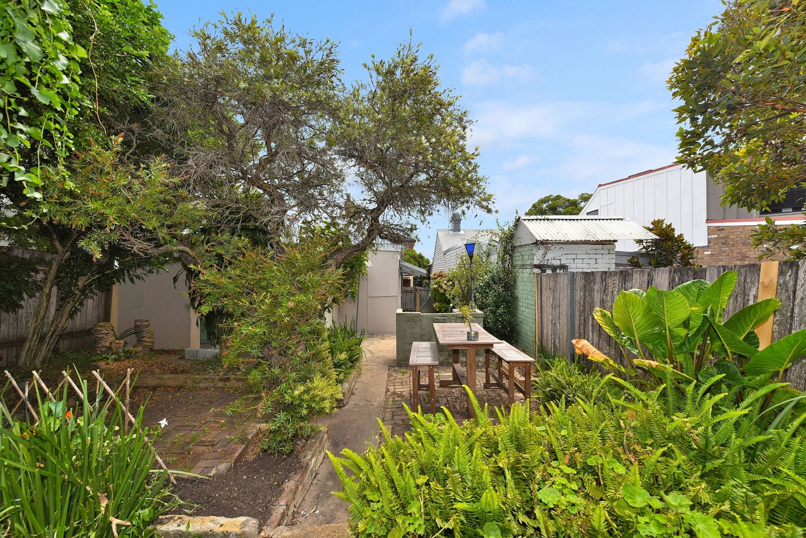 6a Hawken Street, Newtown, NSW 2042