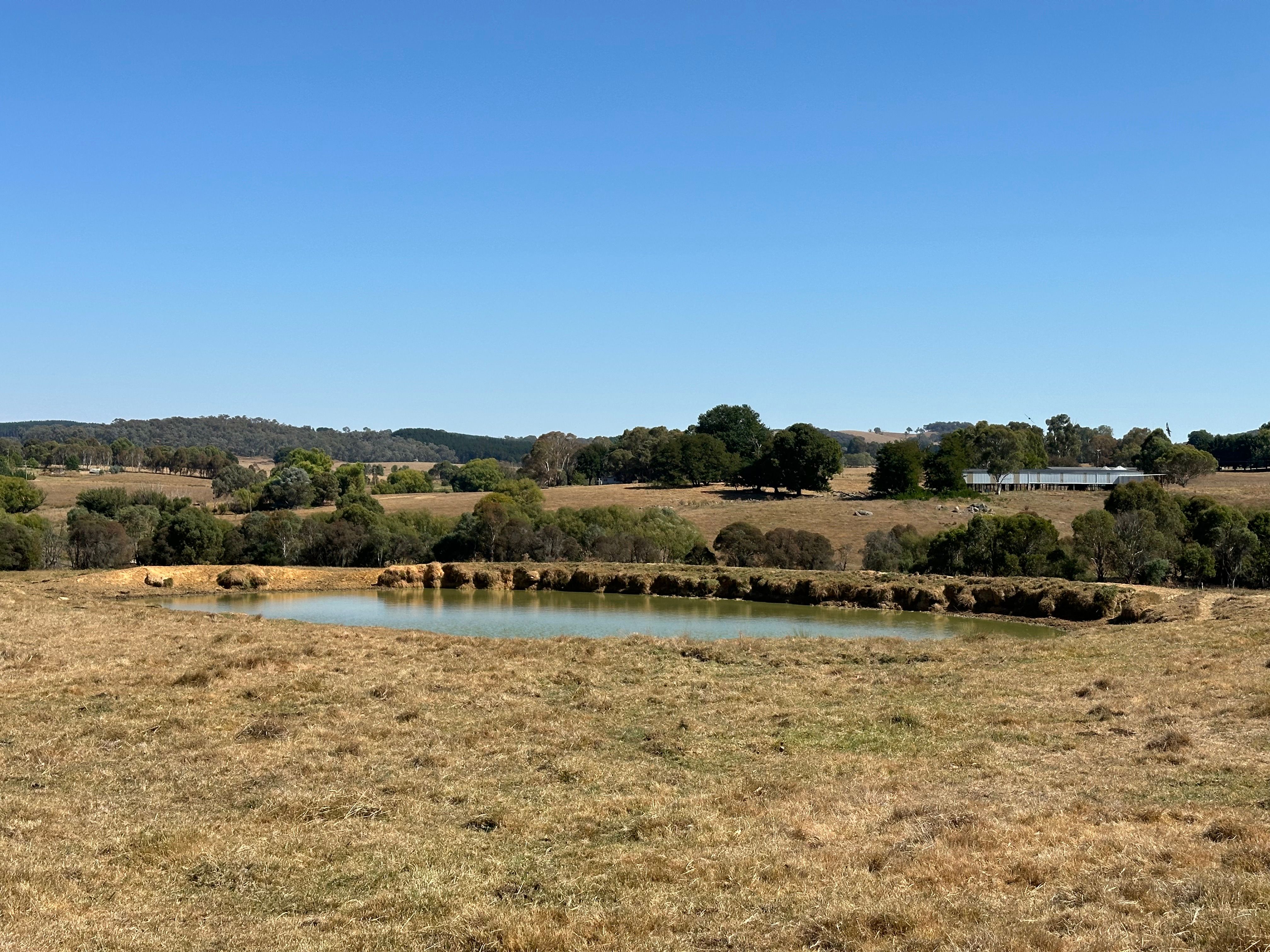 180 Mannus Flats Road, Mannus, NSW 2653 Rural Property for Sale Ray