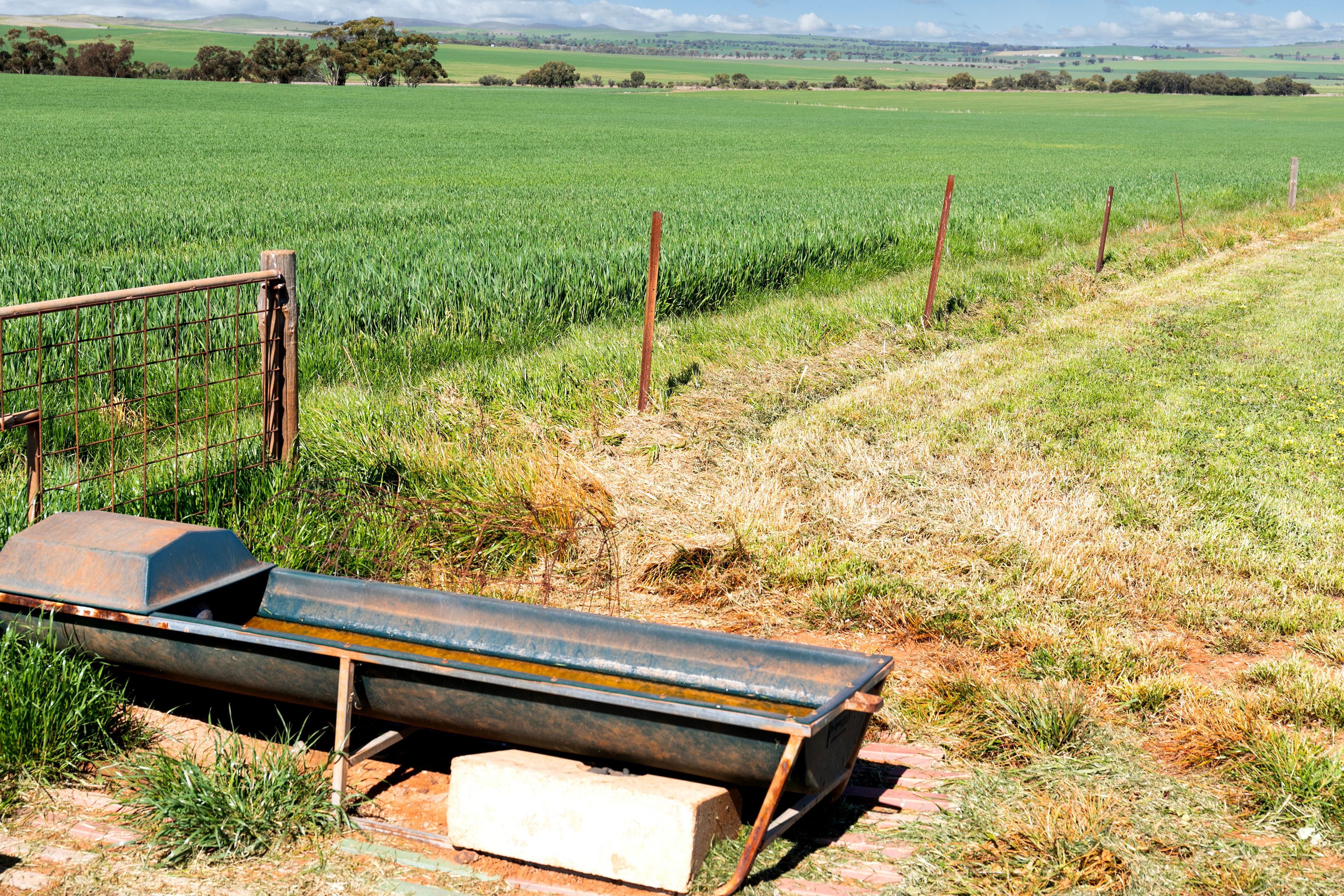 'Huddleston' Road, Gladstone, SA 5473 Sold Rural Cropping Property Ray