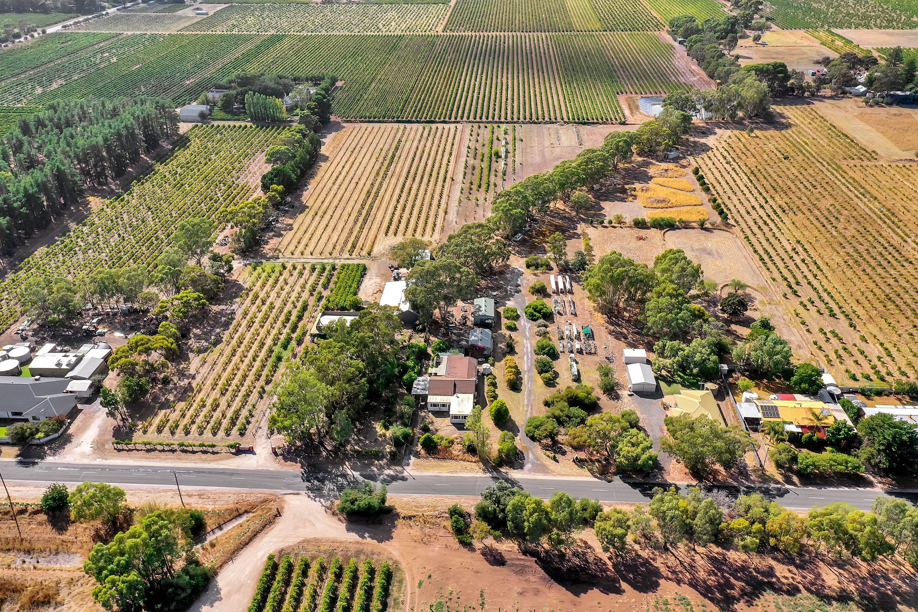 224 Research Road, Tanunda, SA 5352 Sold House Ray White Barossa Valley Two Wells