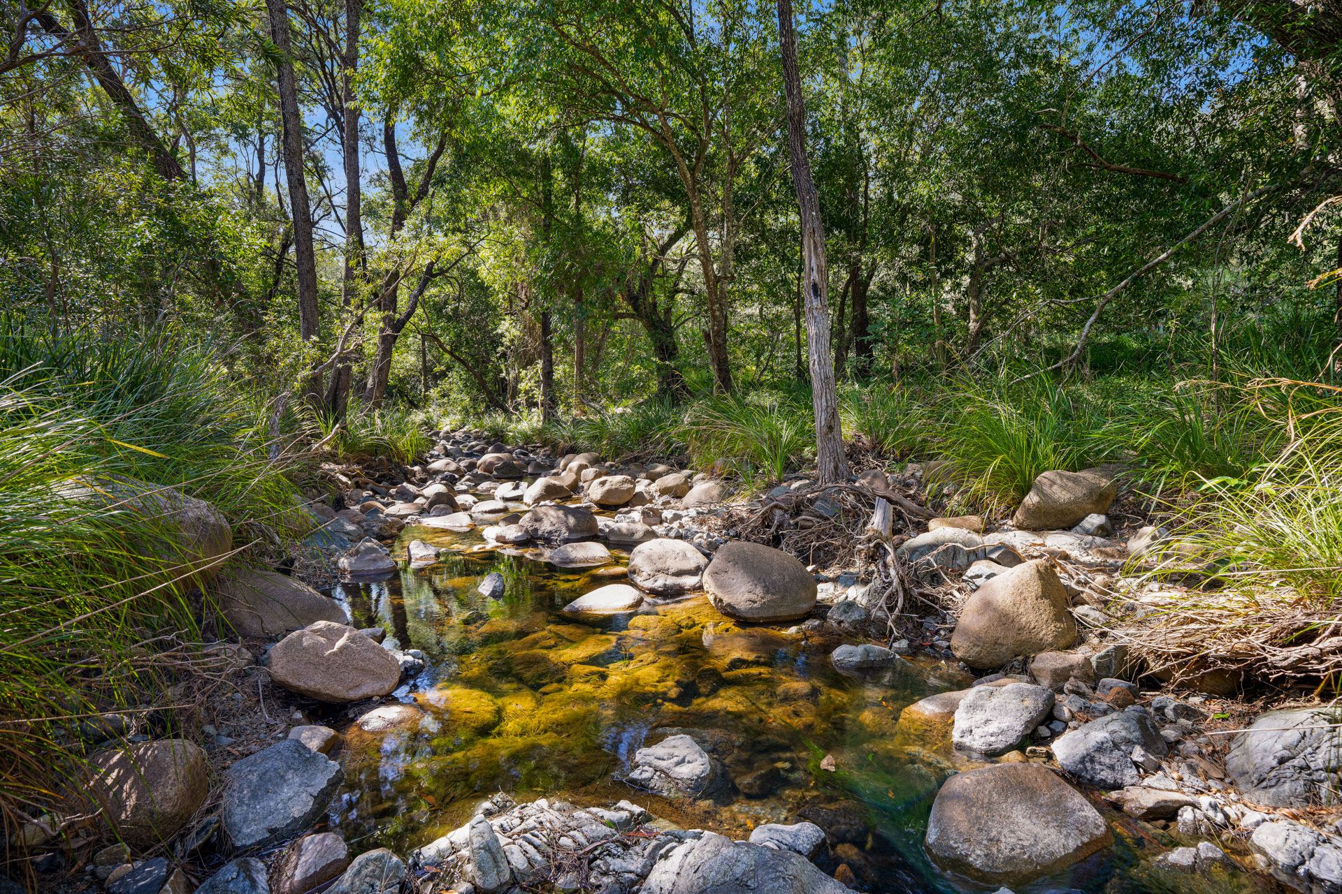Peaceful Off-Grid Escape Along Amamoor Creek — photo 2 of 16