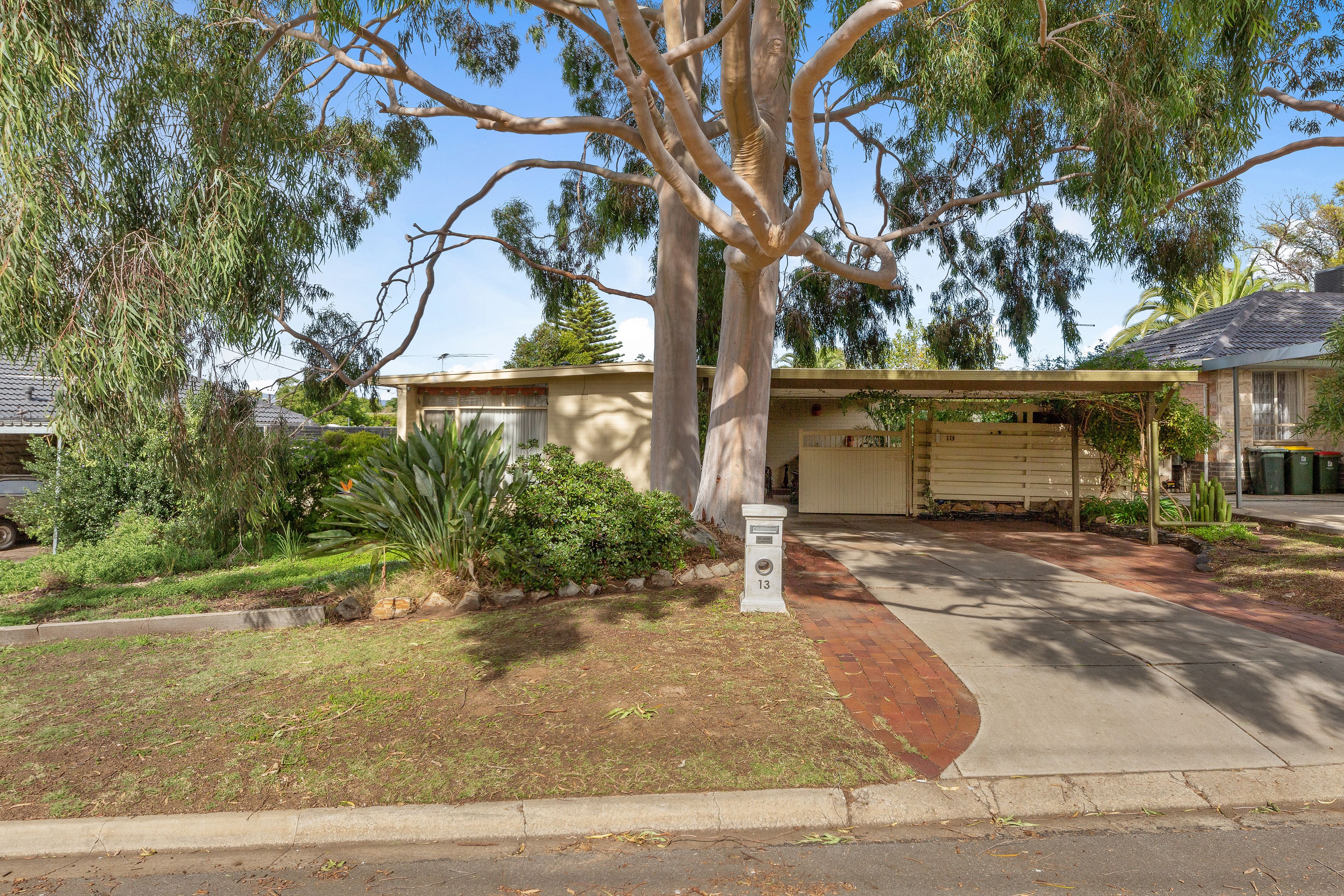 13 Brigalow Avenue, Modbury, SA 5092