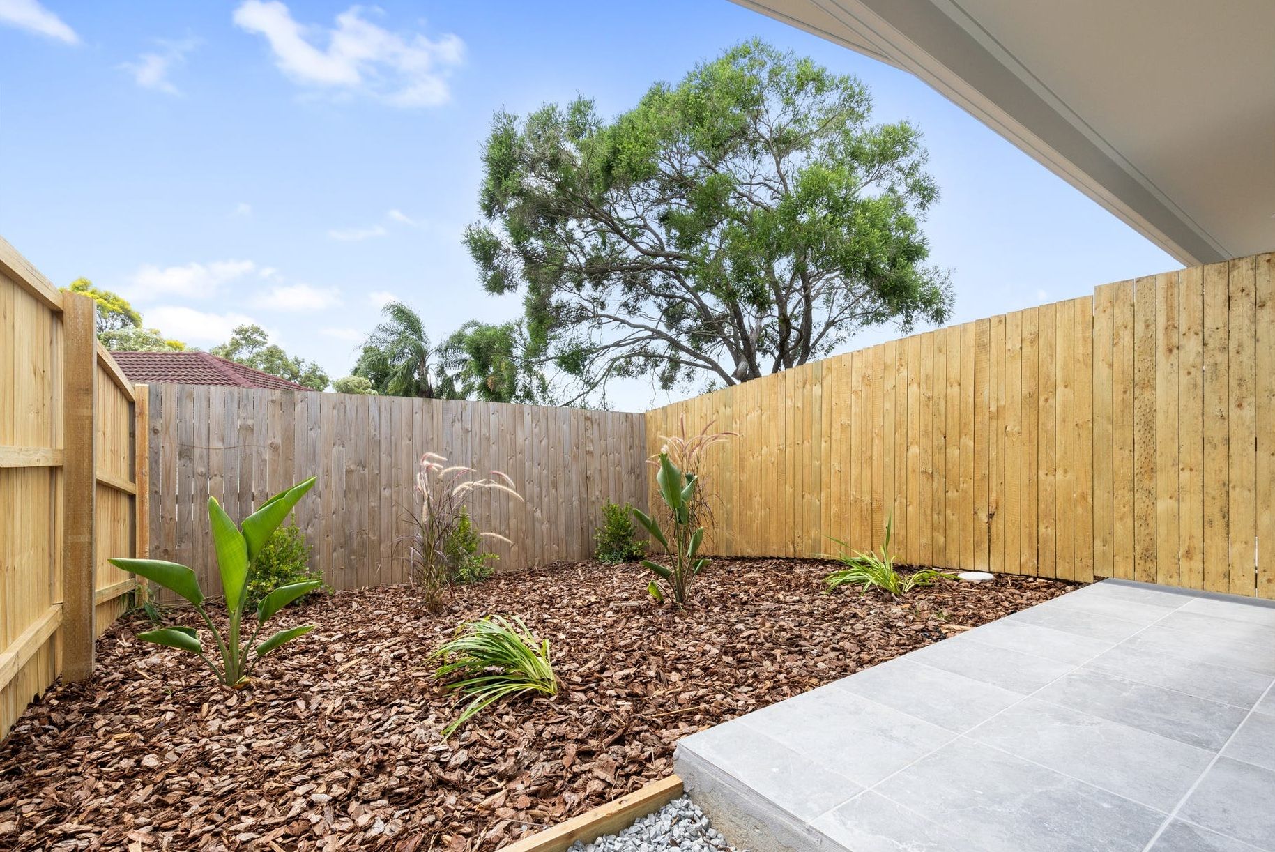 3/131 Evenwood Street — photo 6 of 13