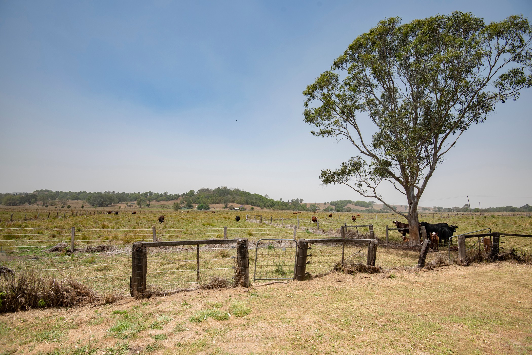 282 Gundurimba Road, Monaltrie, NSW 2480