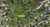 41G Tiri View Road photo 1