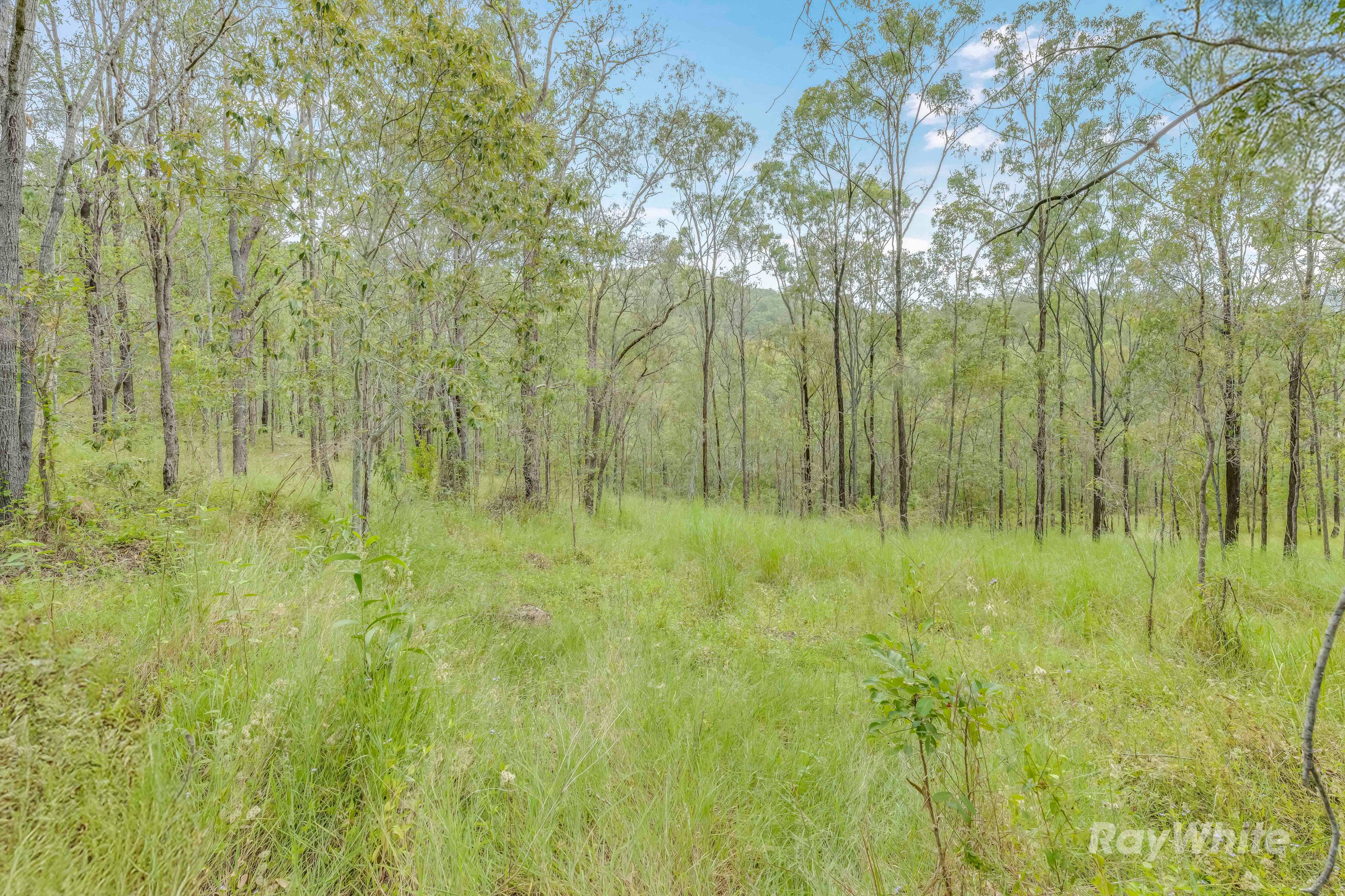 Gaeta Road, Gaeta QLD 4671