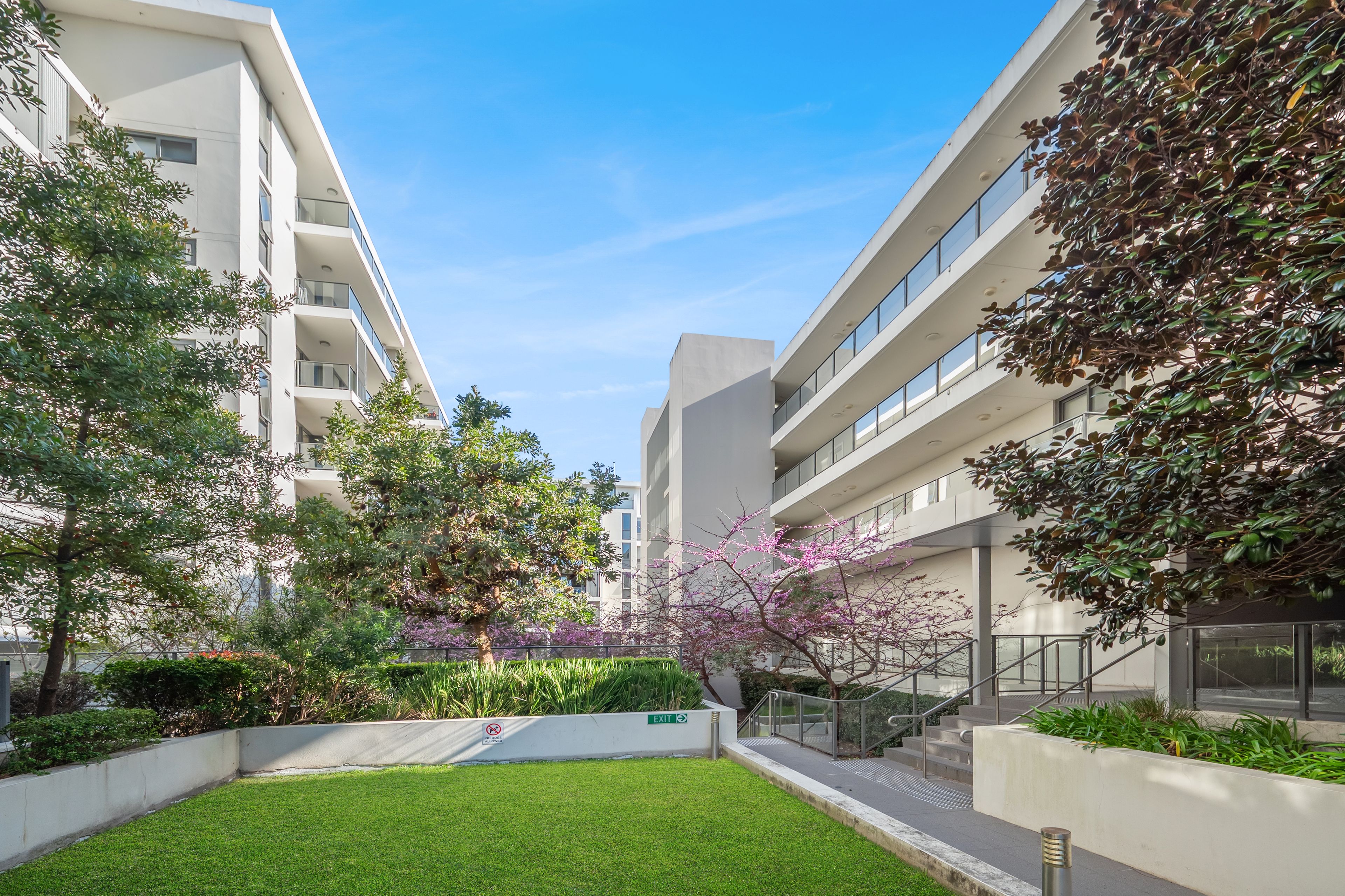 5302/9 Angas Street — photo 14 of 14