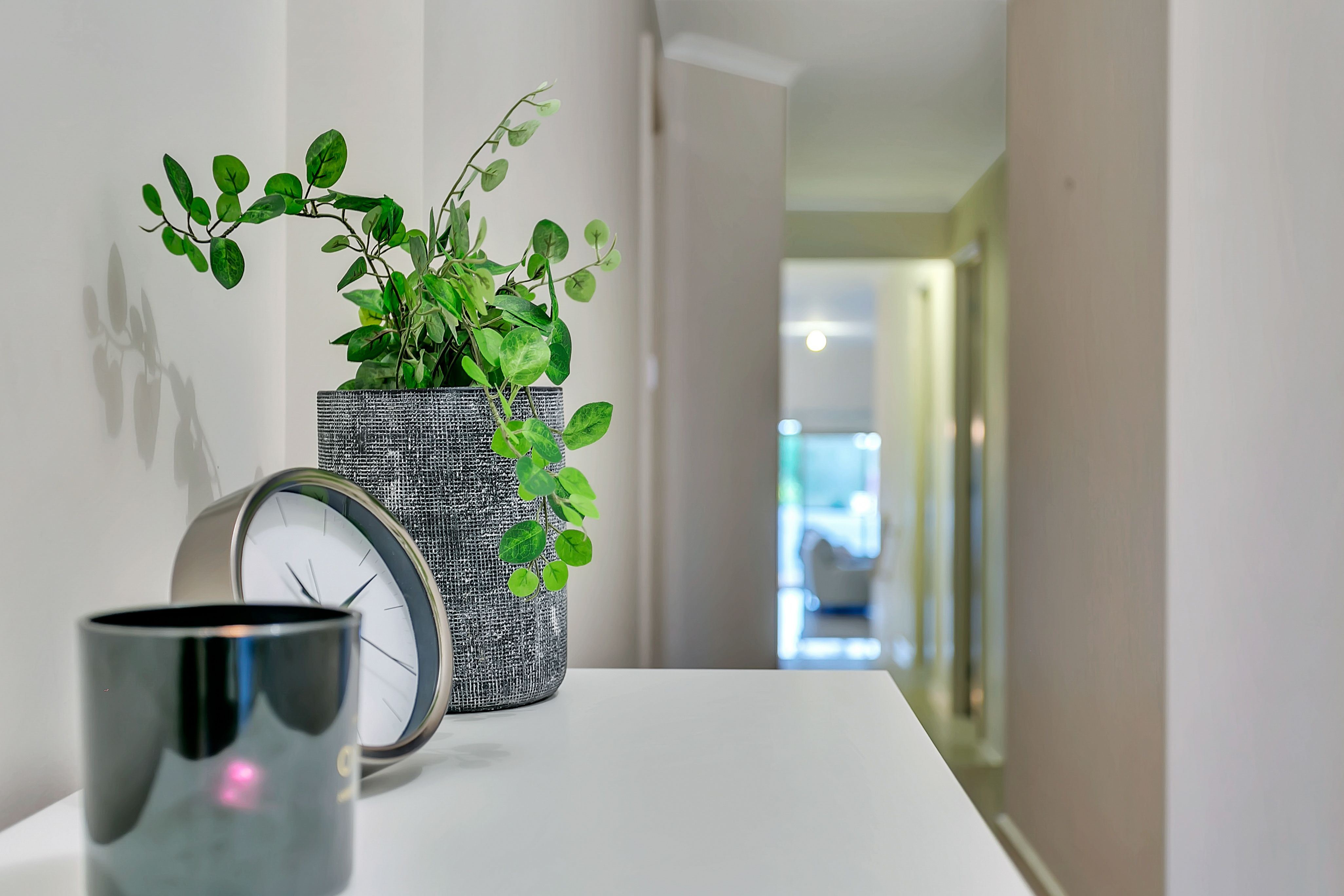 11 Park Terrace, Enfield, SA 5085