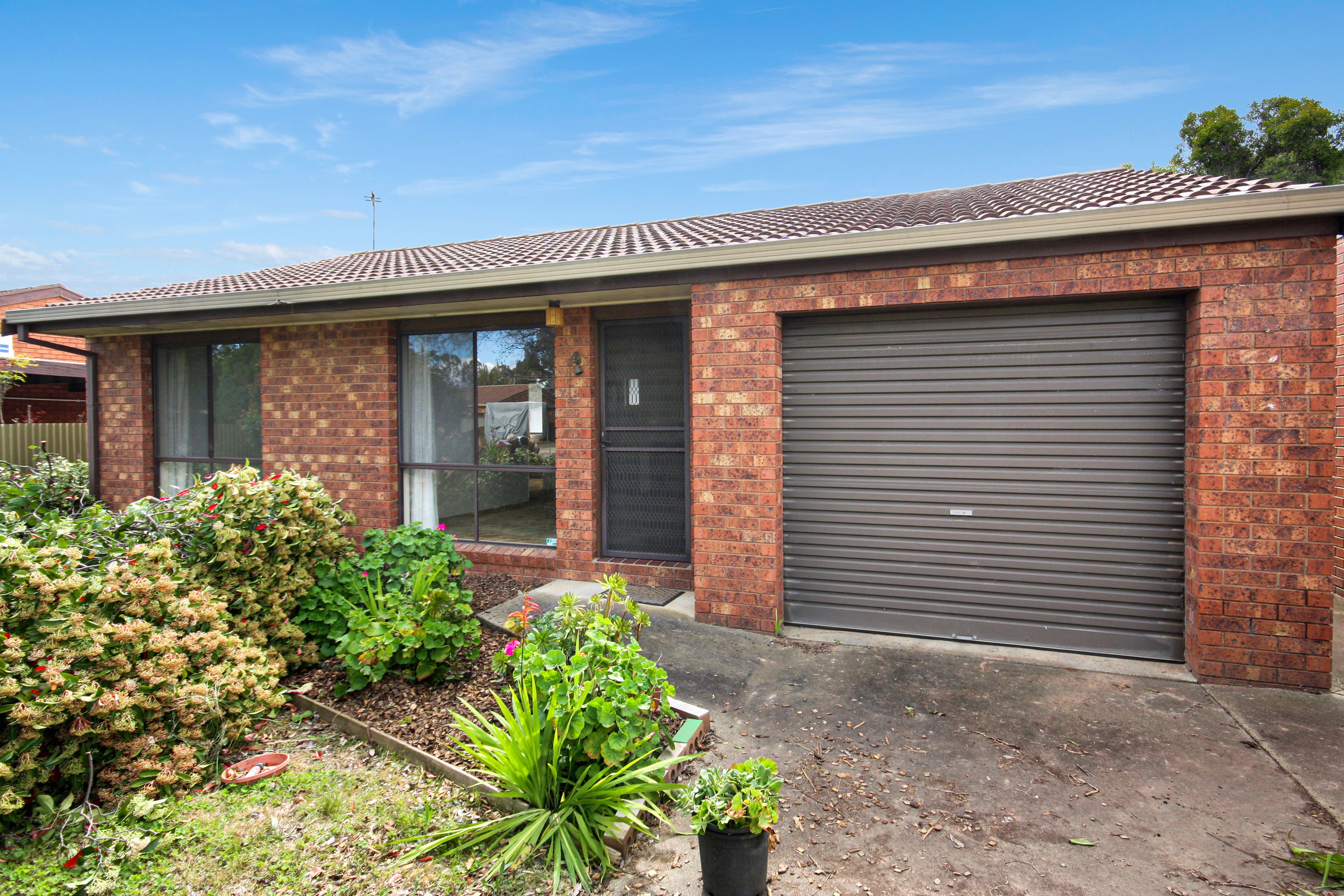 7 Mathieson Court, Benalla, VIC 3672 Leased Townhouse Ray White Benalla