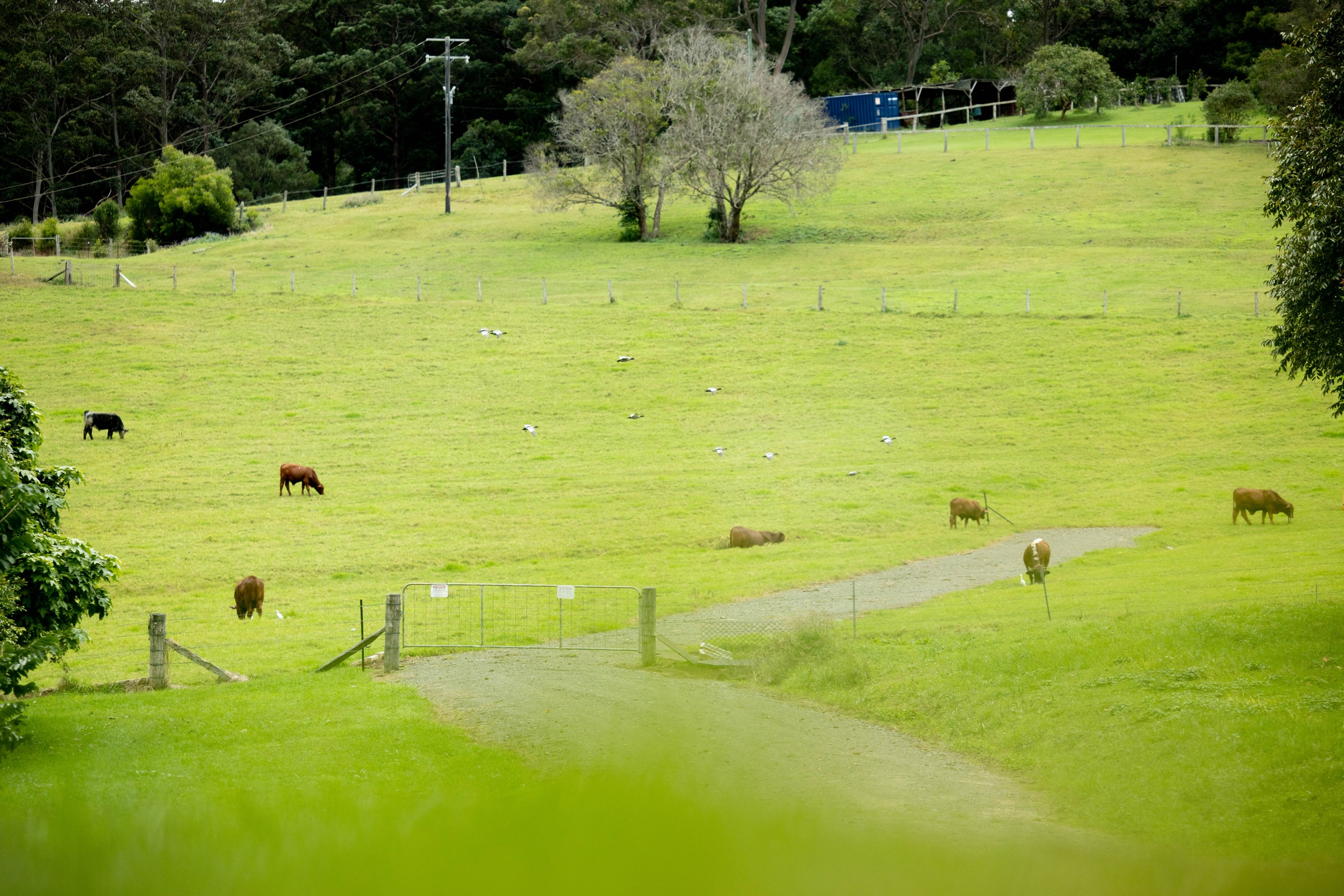 378 Curramore Road, Curramore, QLD 4552