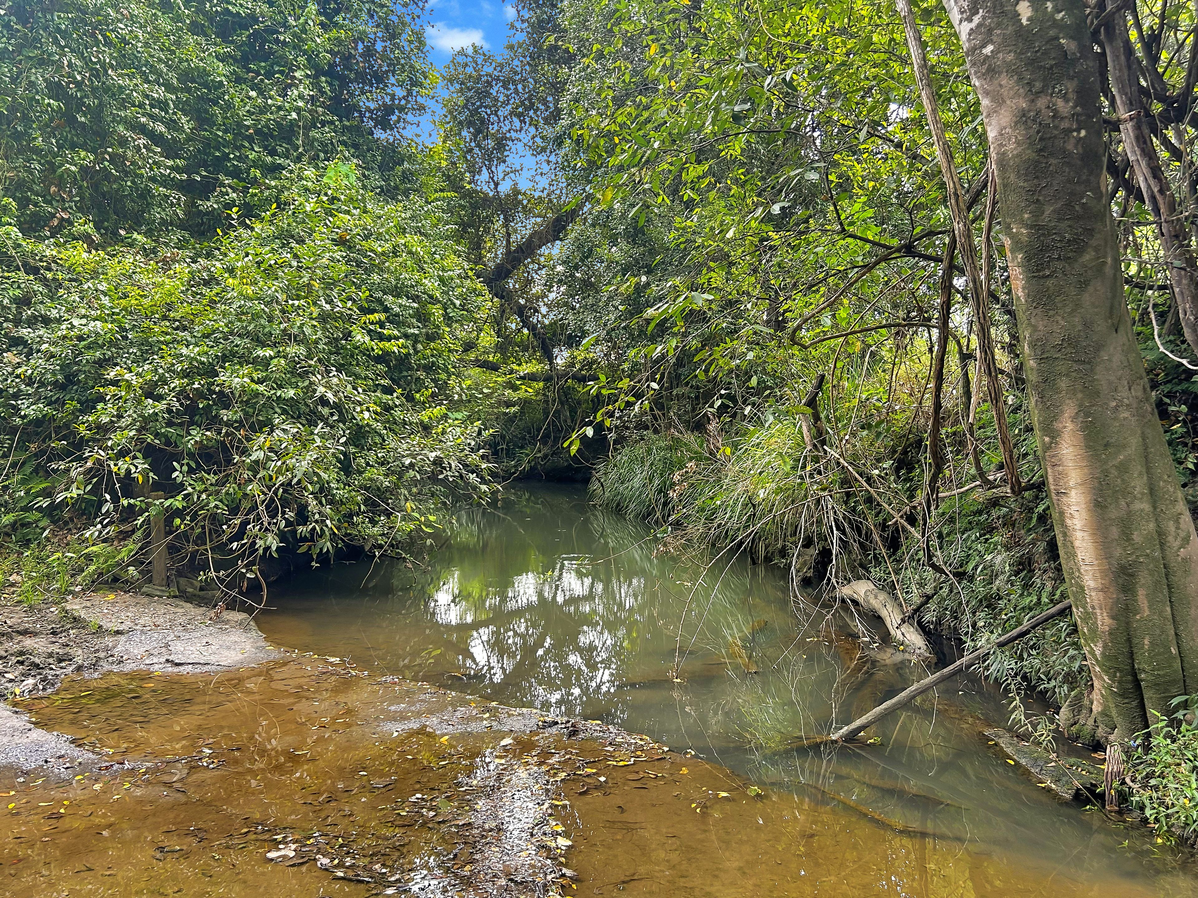 Lot 146 Nolans Road — photo 9 of 14