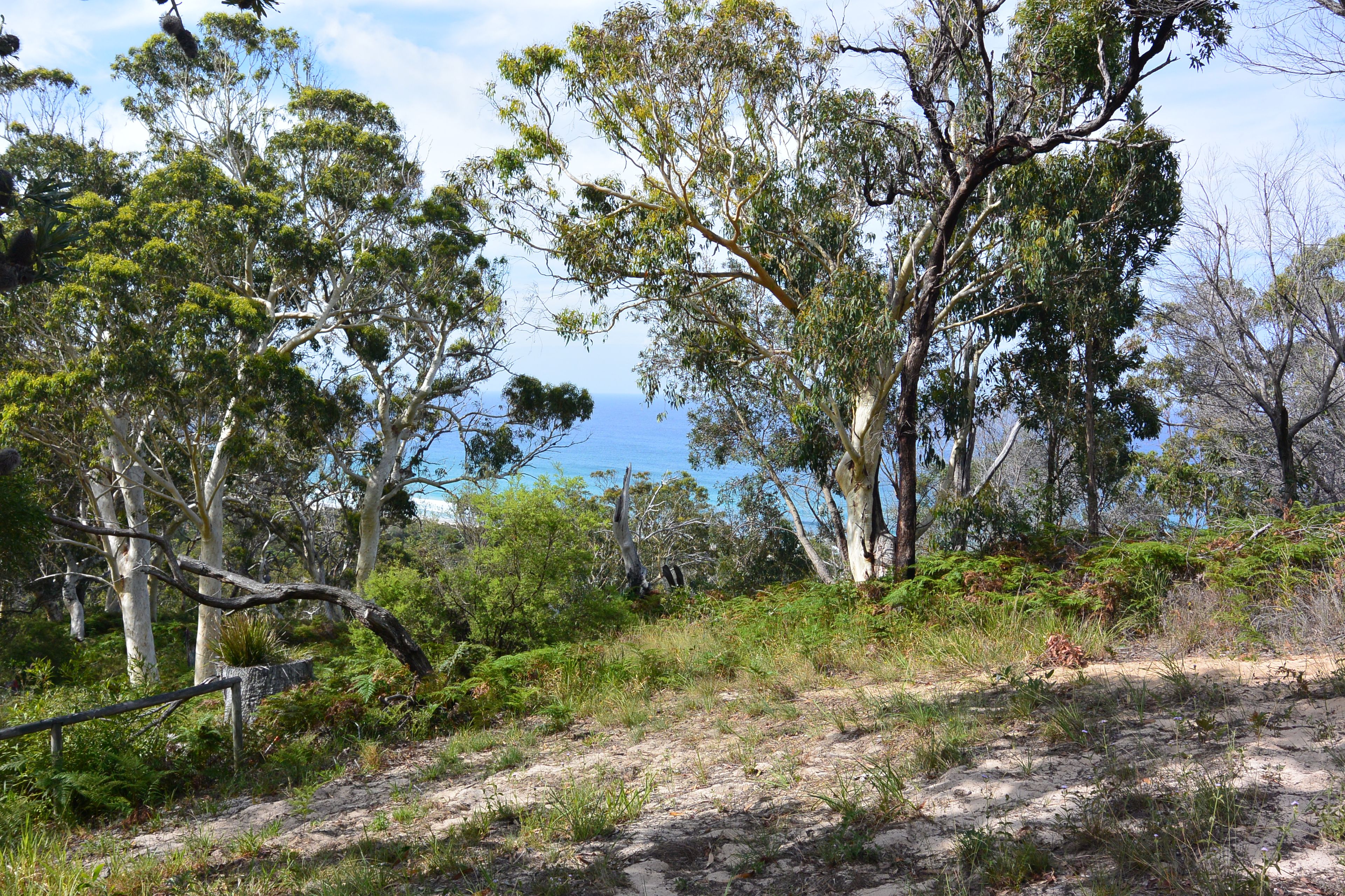 85 Tramican Street, Point Lookout, QLD 4183