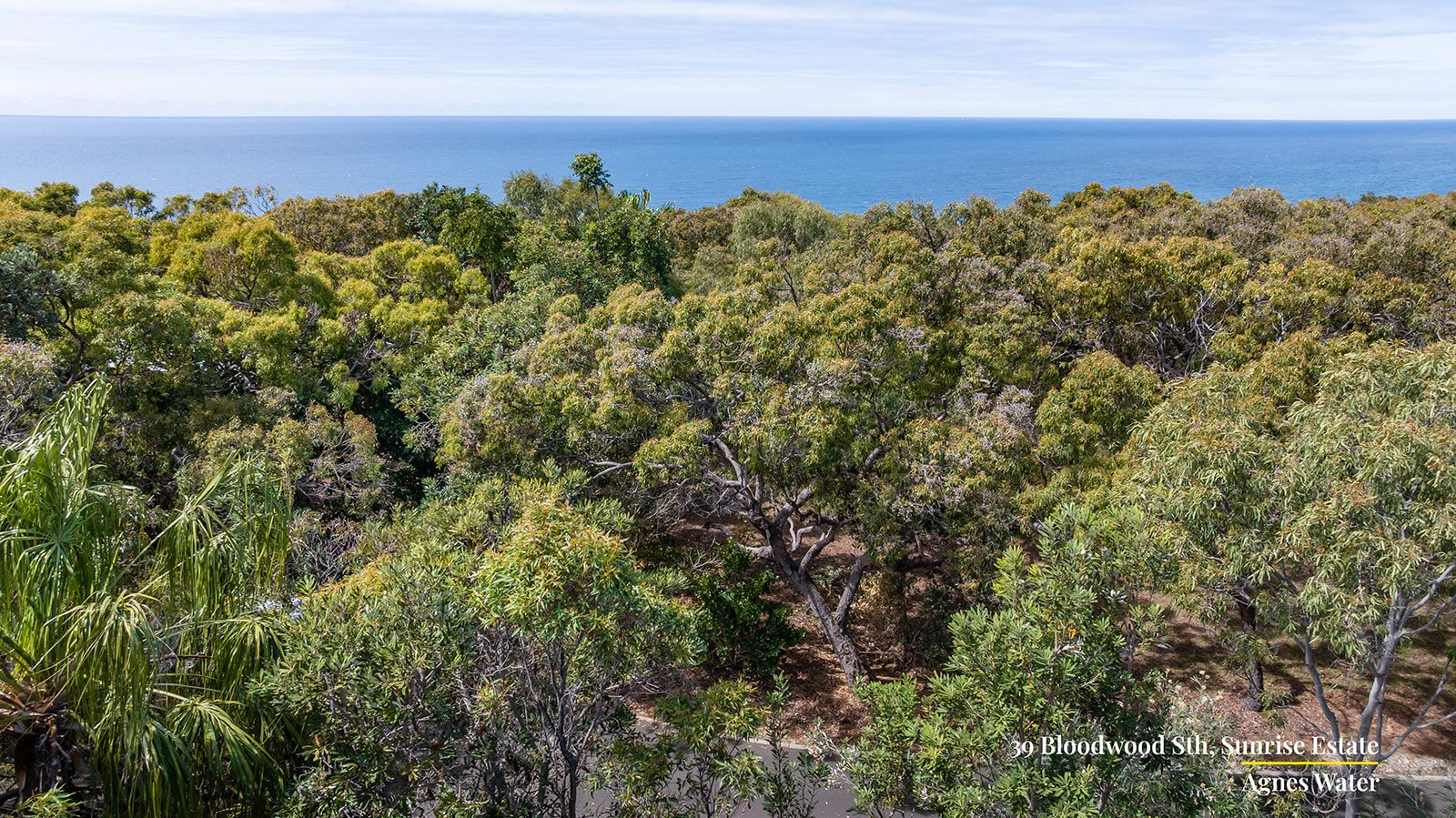 39 Bloodwood Avenue South — photo 5 of 12