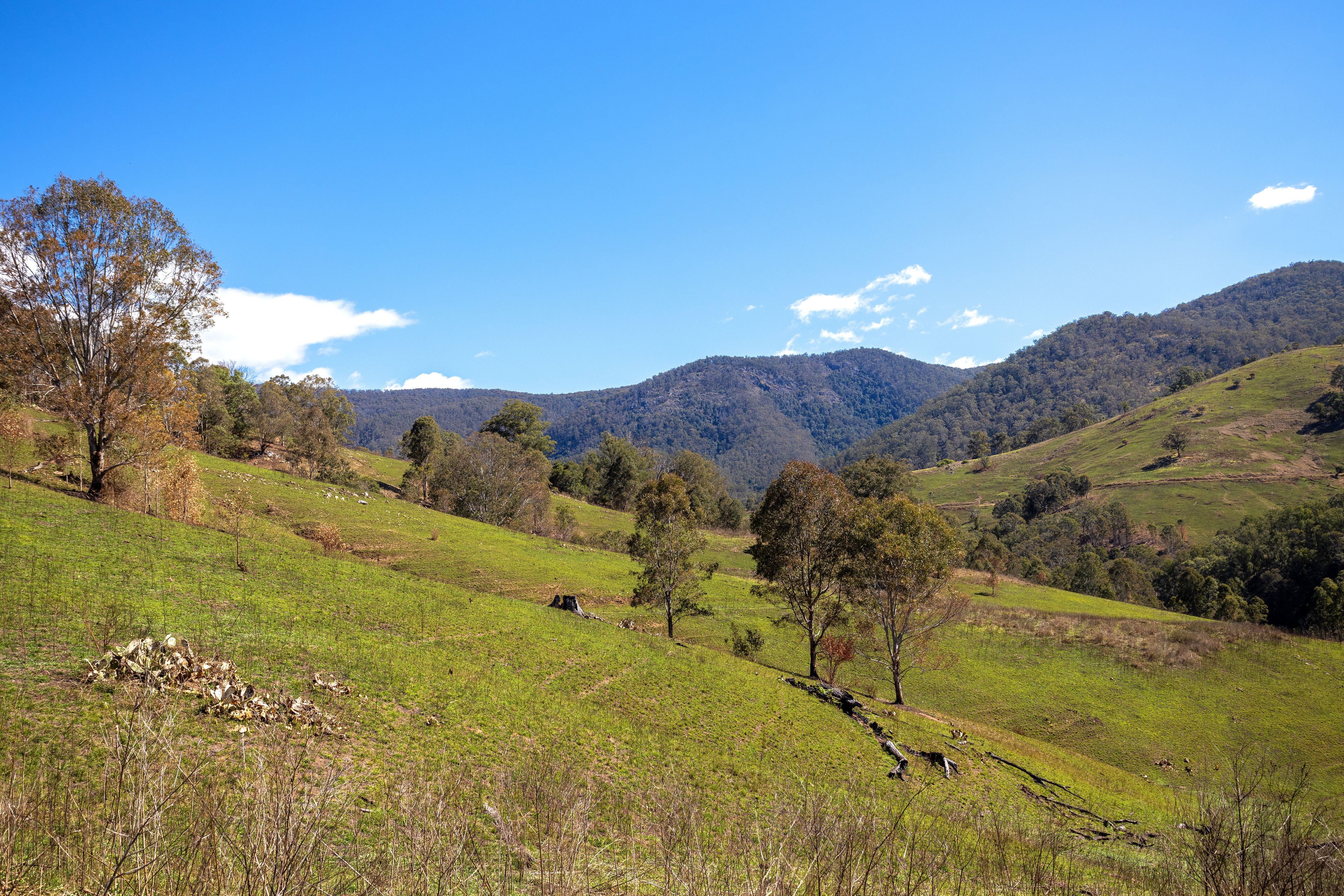 Rays Riverside Est, Cells Road, Cells River, NSW 2424 - Sold Rural ...