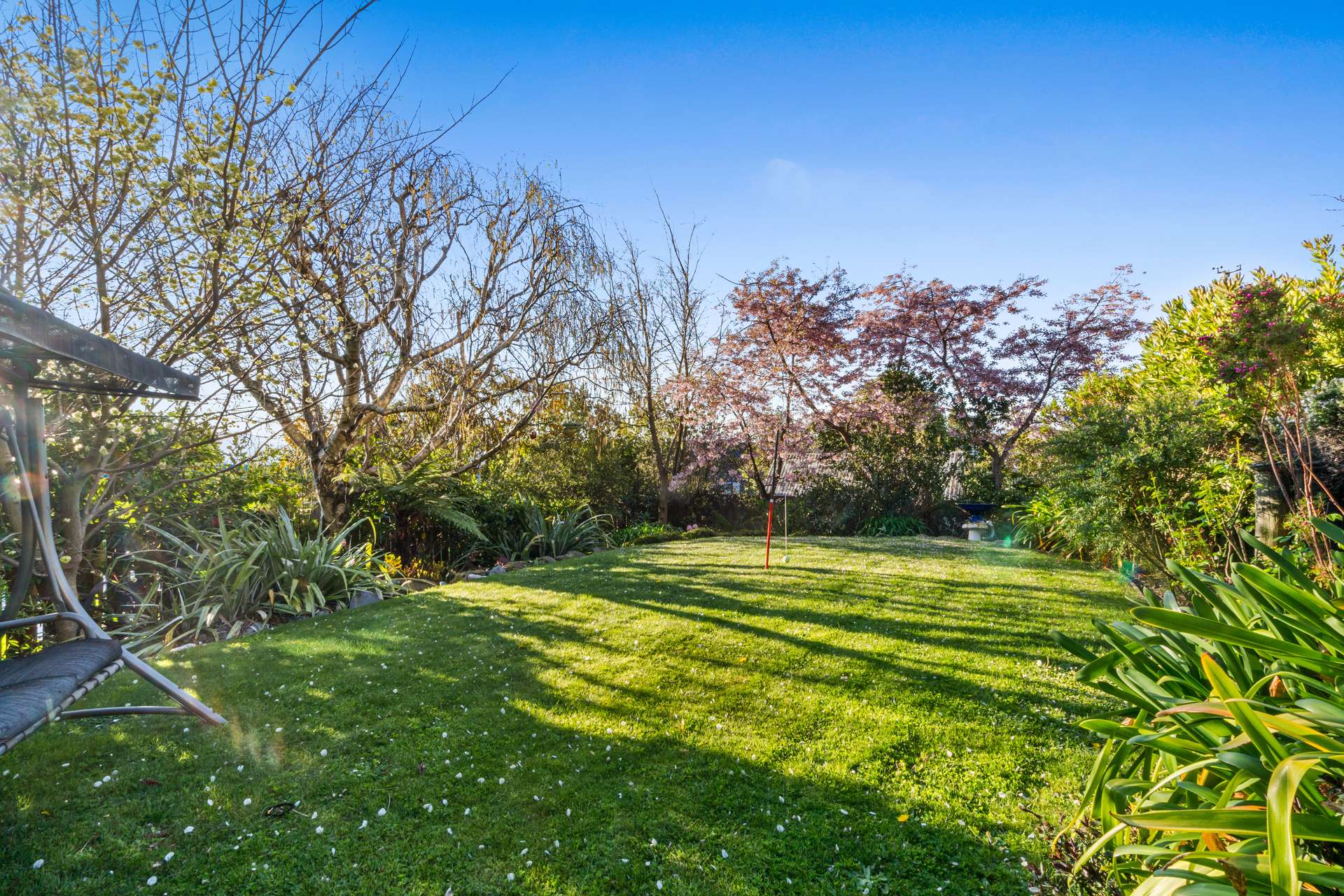 227 Cannon Hill Crescent photo 9