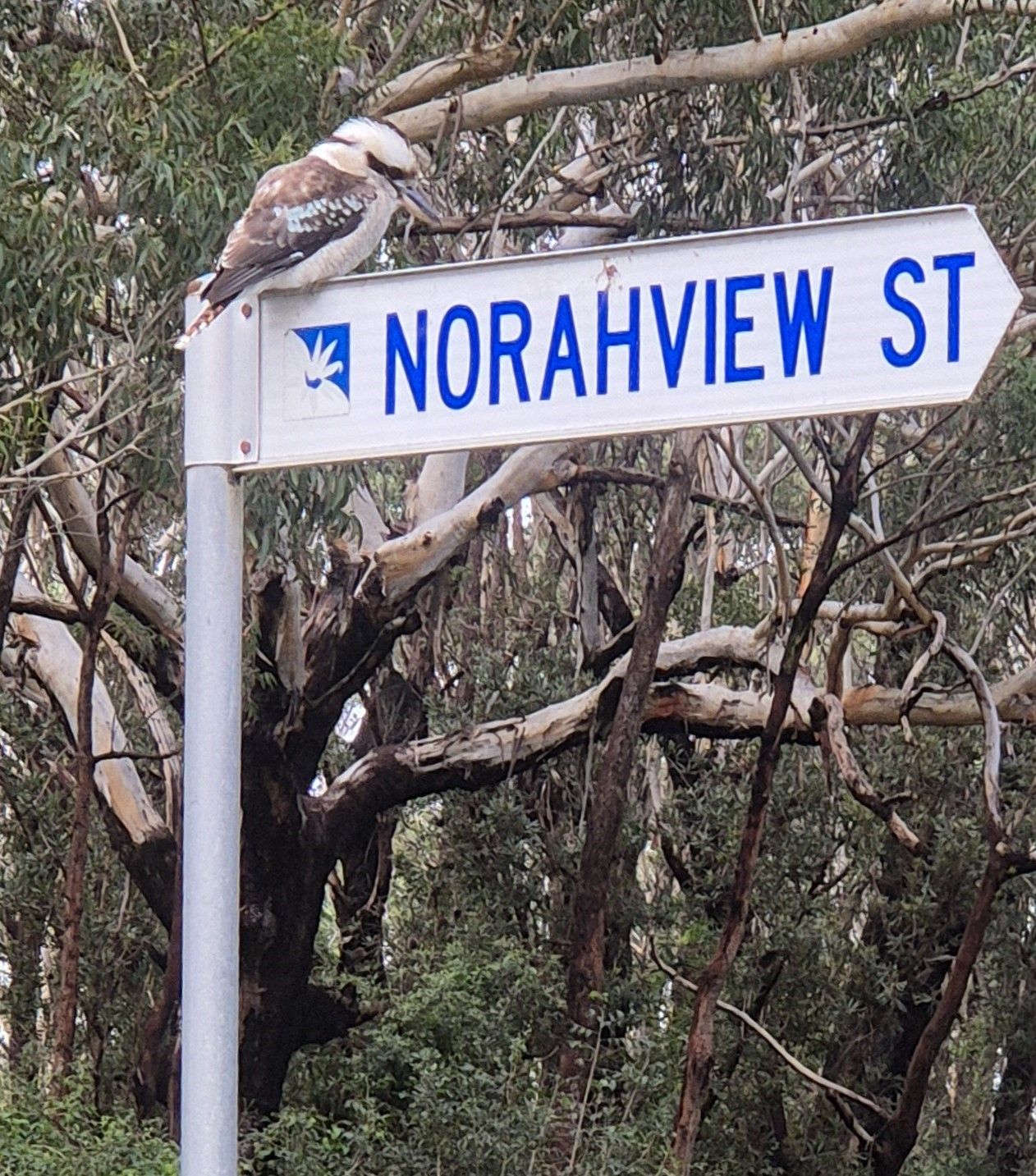 19 Norahview Street, Bateau Bay, NSW 2261