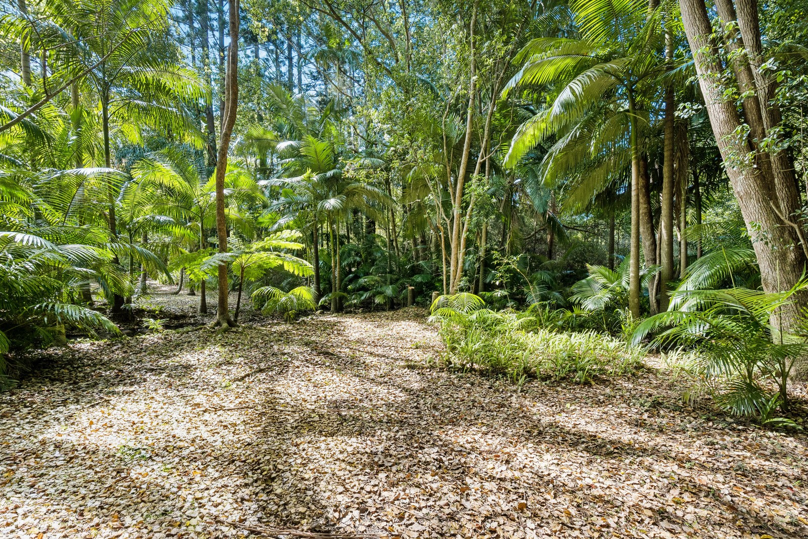 652 Clothiers Creek Road, Clothiers Creek, NSW 2484