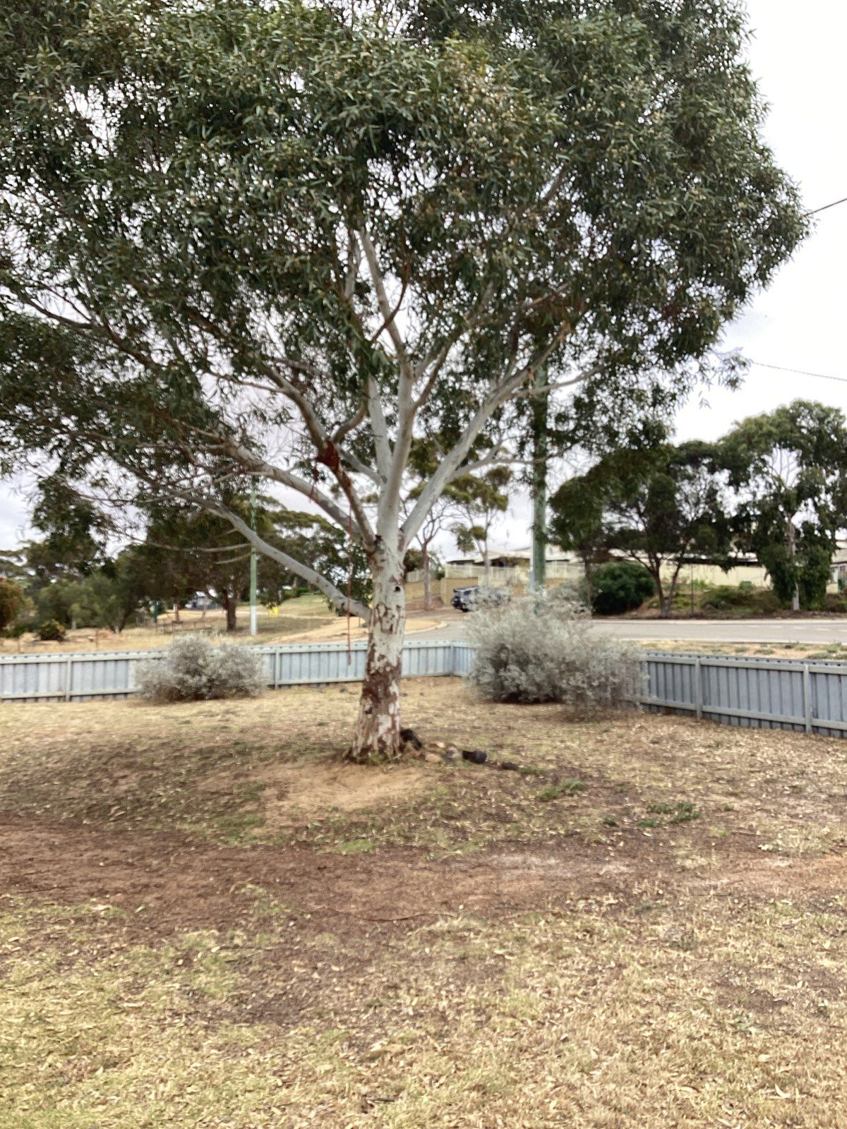 88 Spence, Ravensthorpe, WA 6346