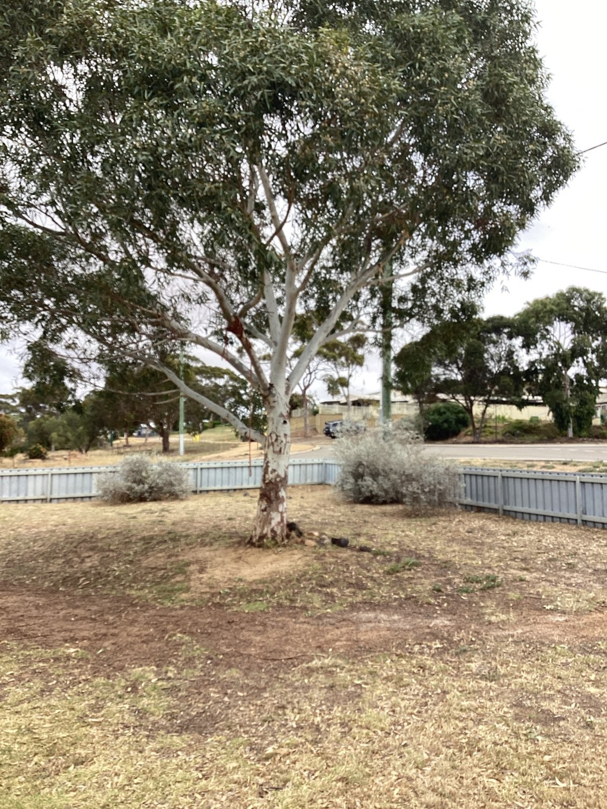 88 Spence, Ravensthorpe, WA 6346