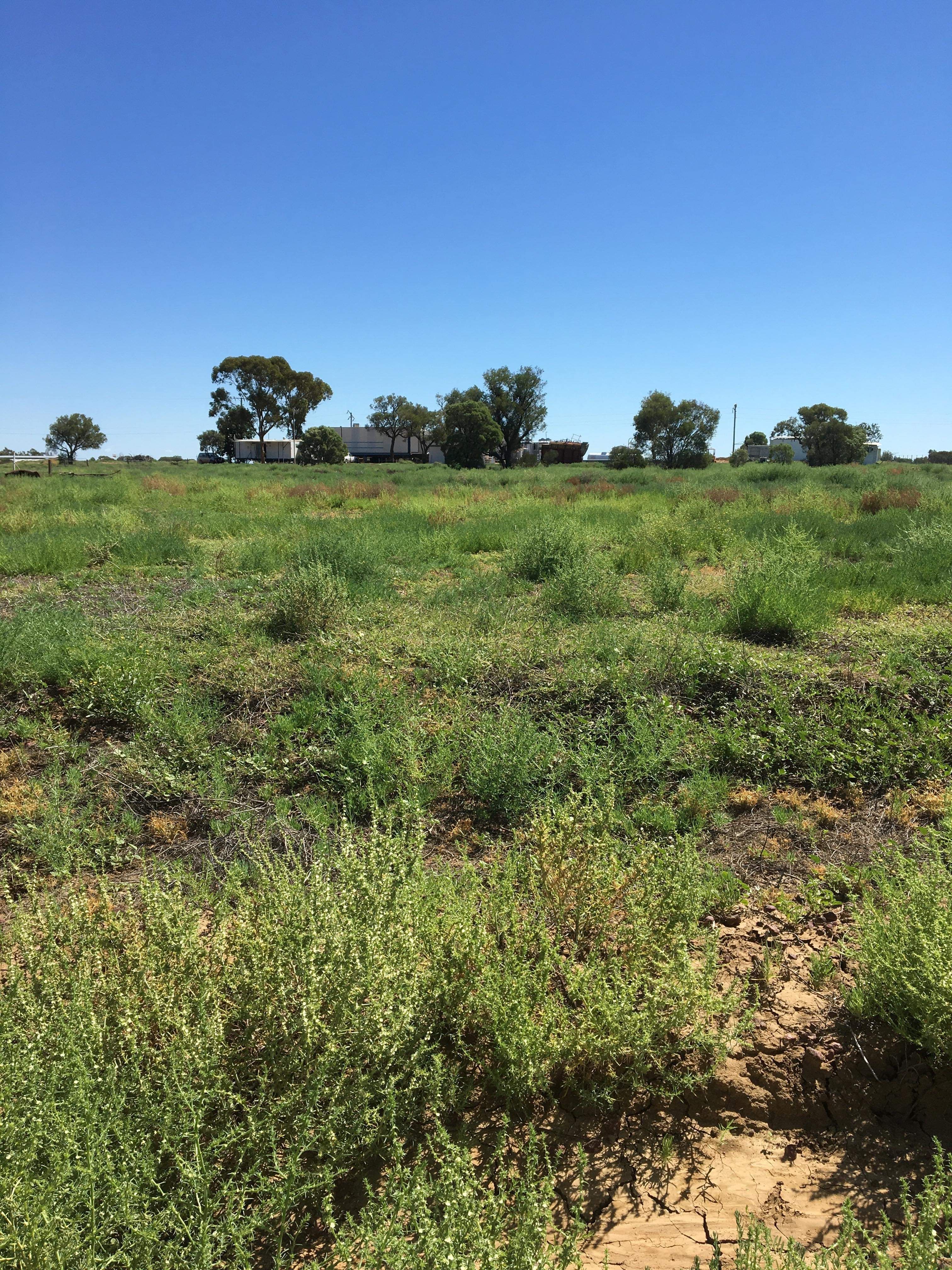 Lot 1 Raven Road, Longreach, QLD 4730 Land for Sale Ray White Blackall