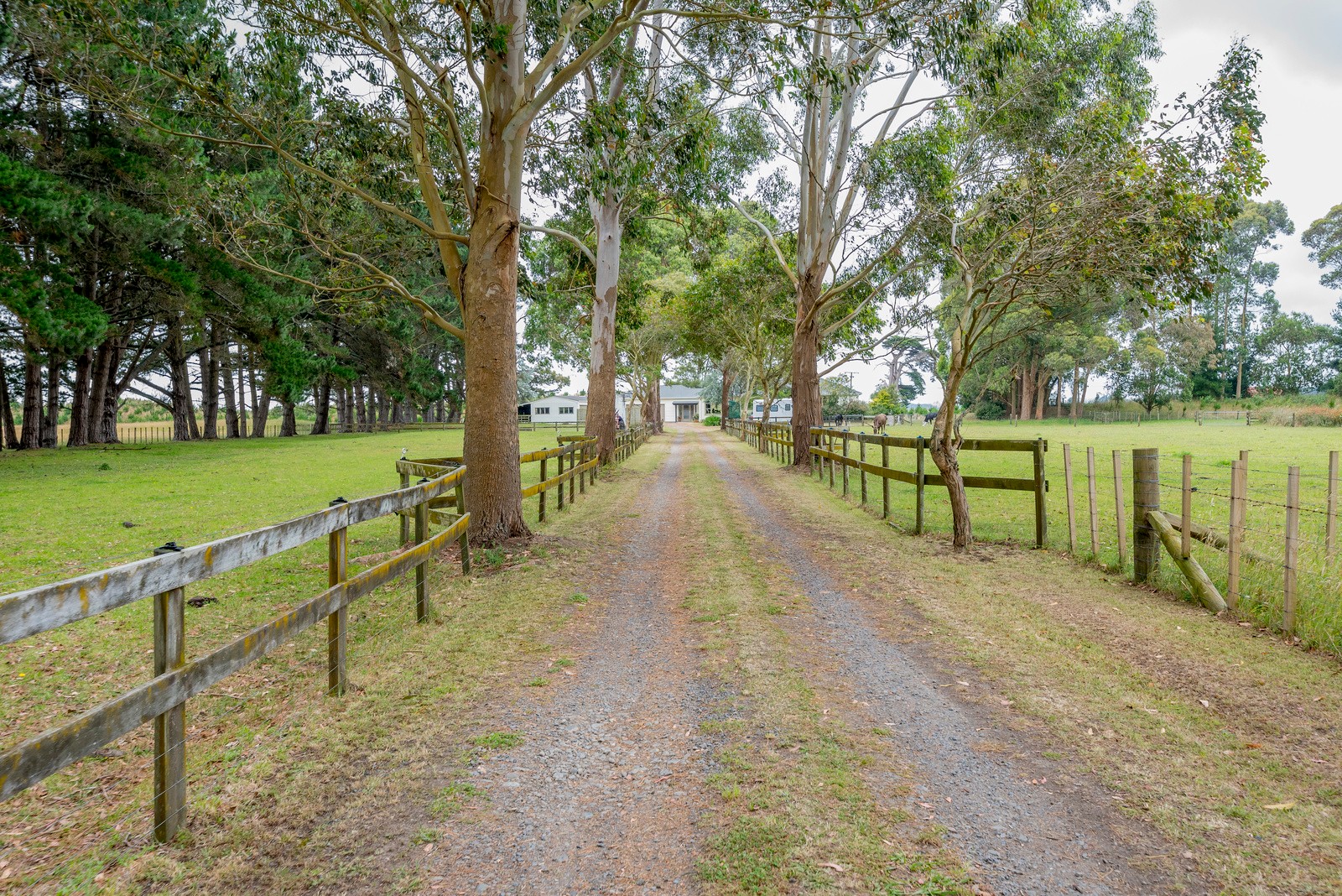 171 Motuiti Road, Foxton, Horowhenua District