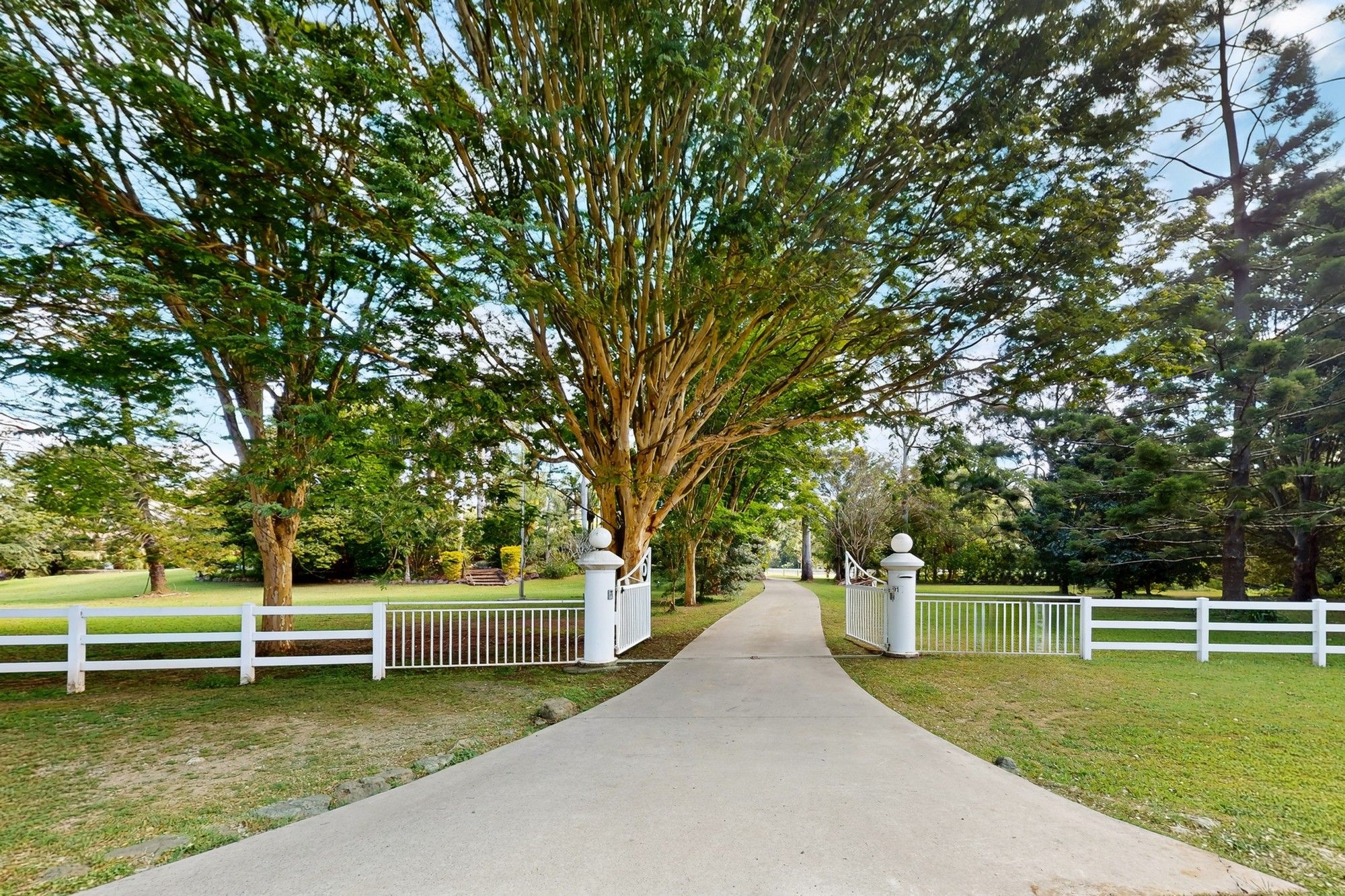 91 Currey Road, Wongawallan, QLD 4210