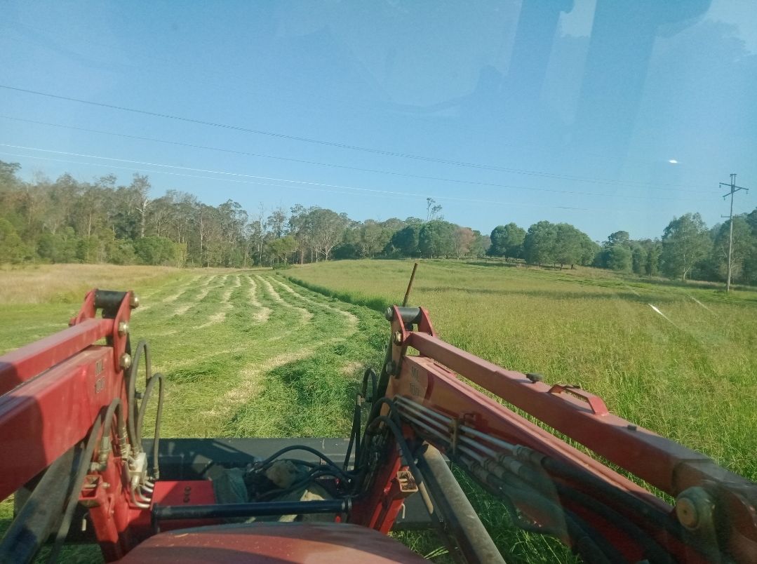 'The Mary Valley Farm' - A Rare Hinterland Legacy — photo 20 of 30