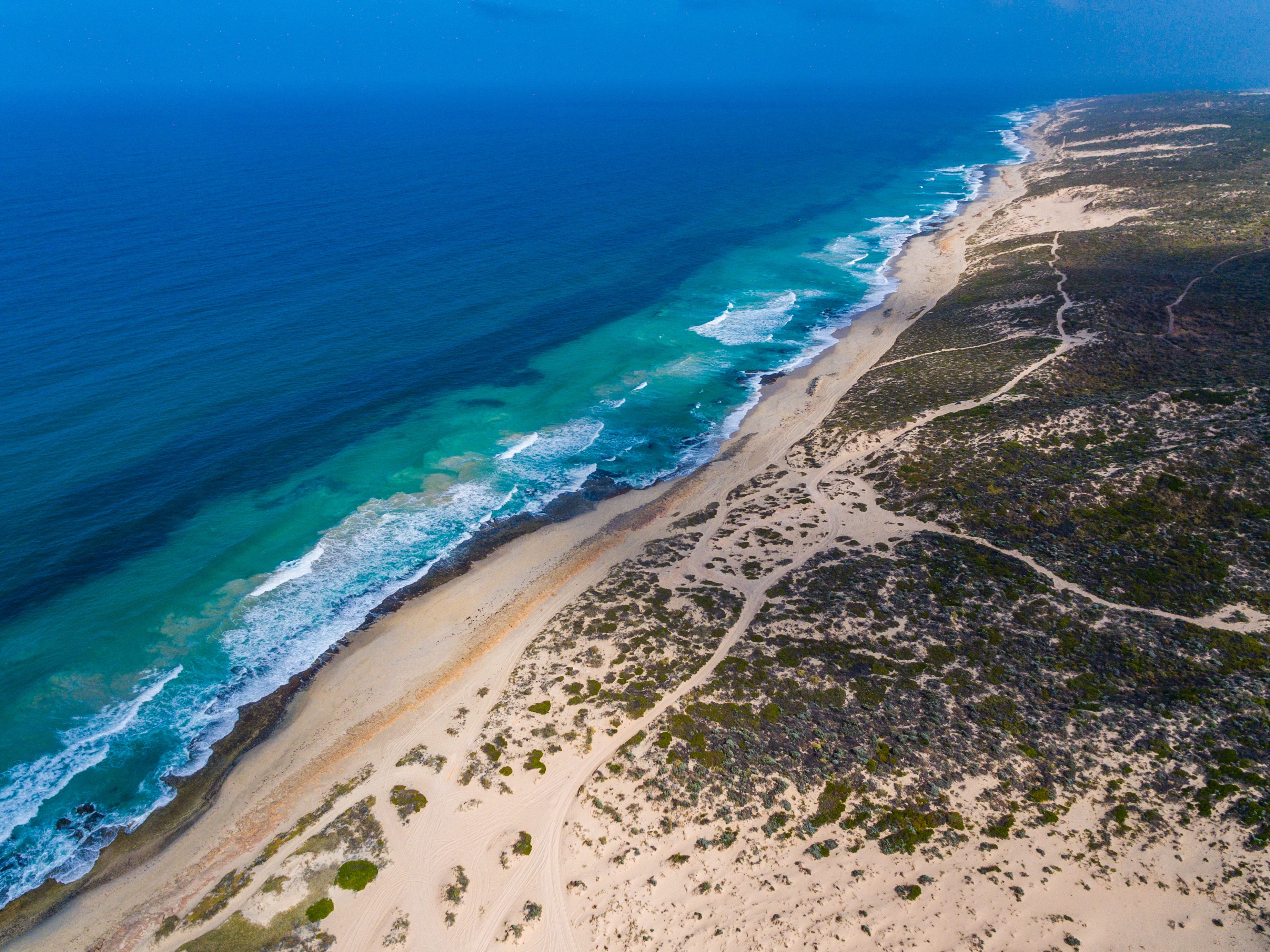 44 African Reef Boulevard, Greenough, WA 6532