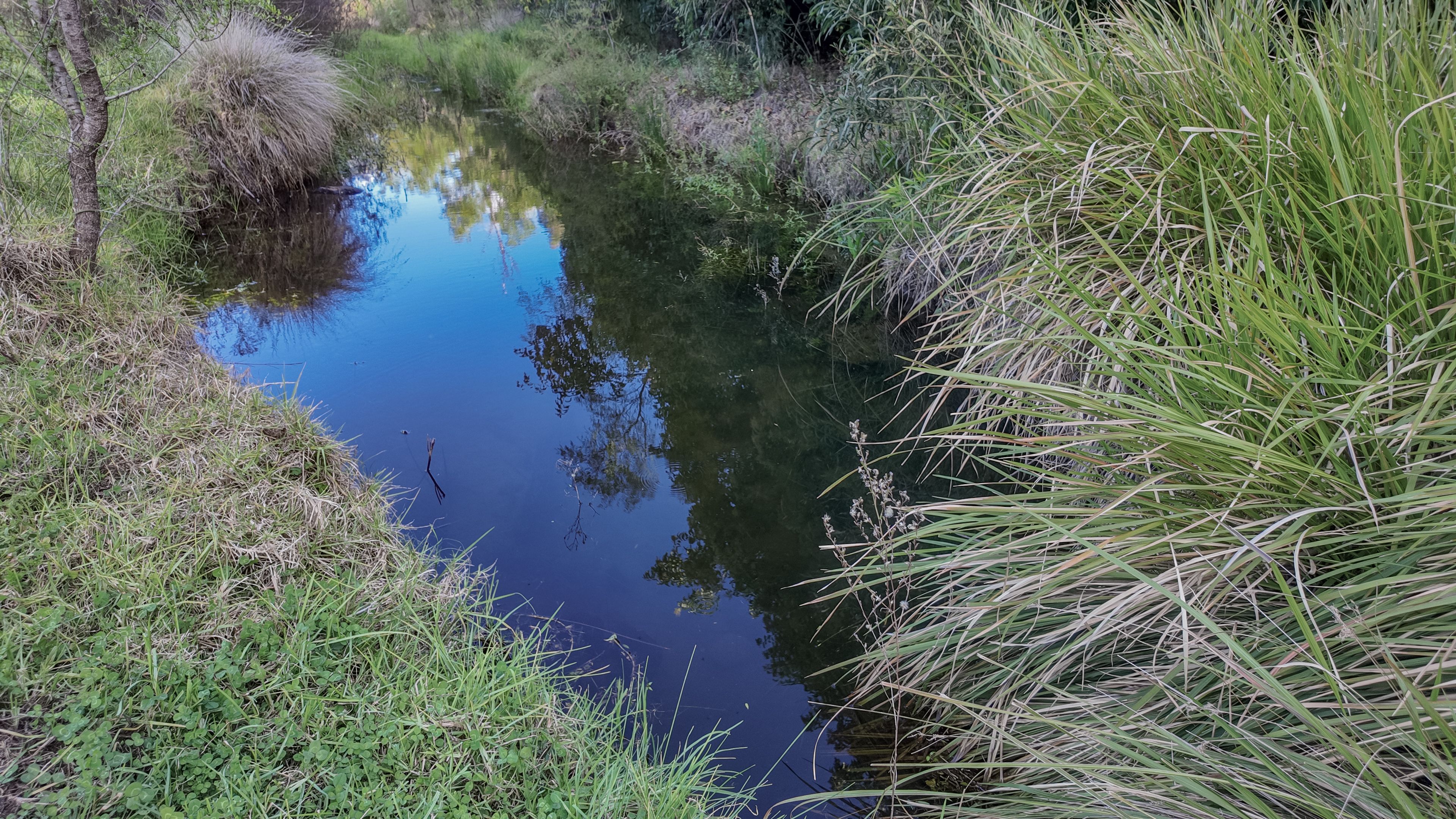 0 Unnamed Off Condamine River Road, Killarney, QLD 4373