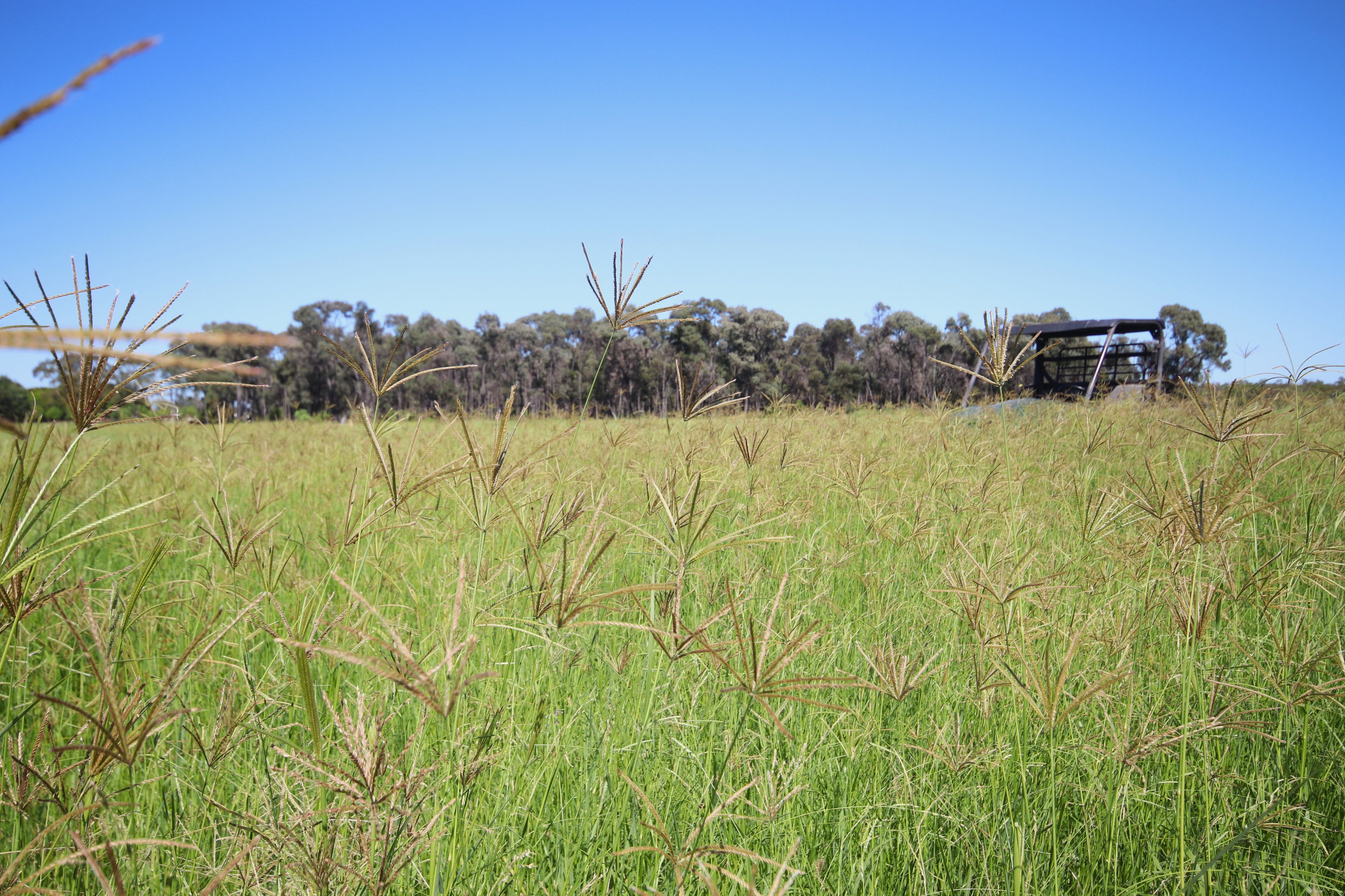 'Aura Park' North Pattens Road, Boynewood — photo 16 of 23