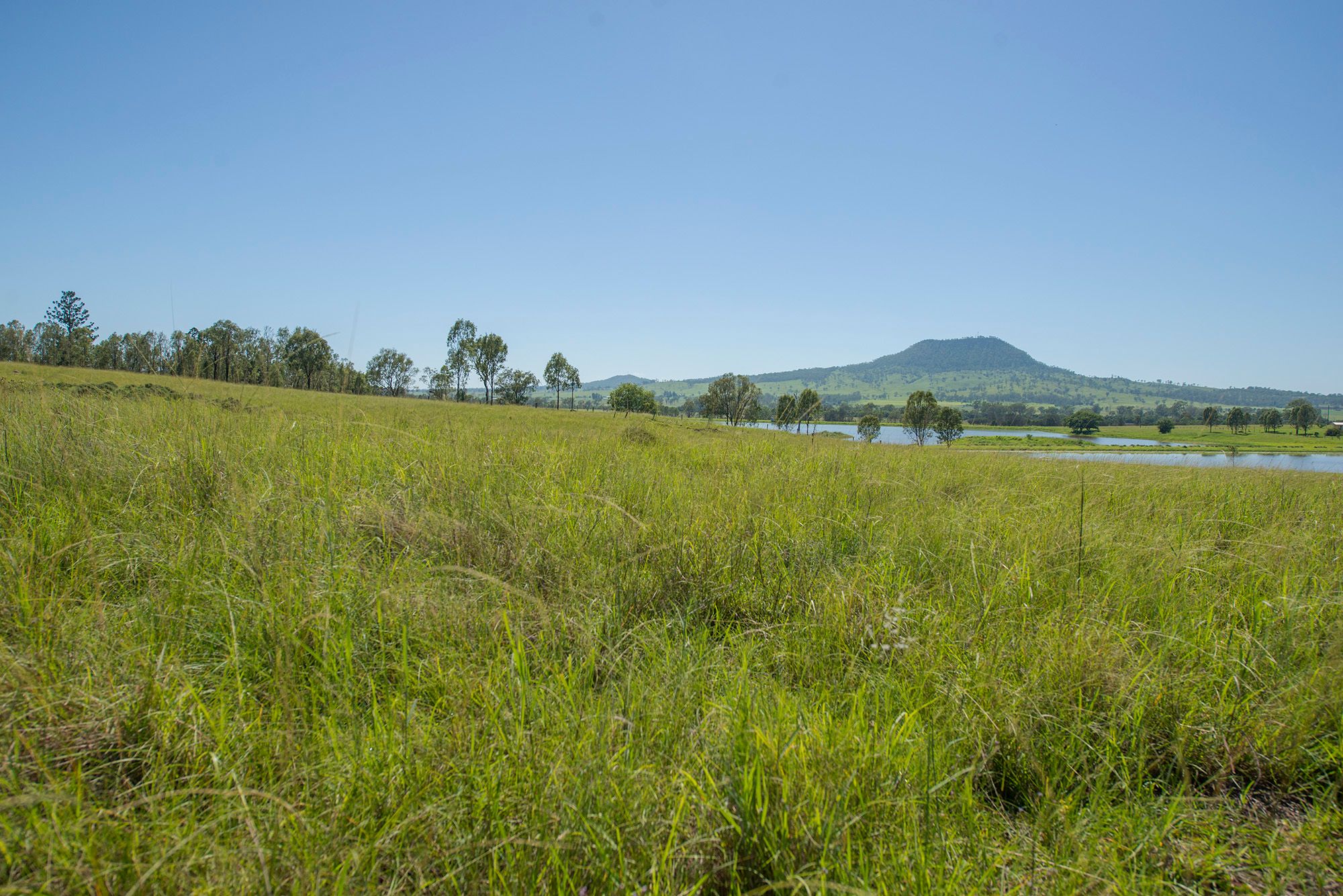 Proposed Lot 612 Mount Walker West Road, Mount Walker West, QLD 4340
