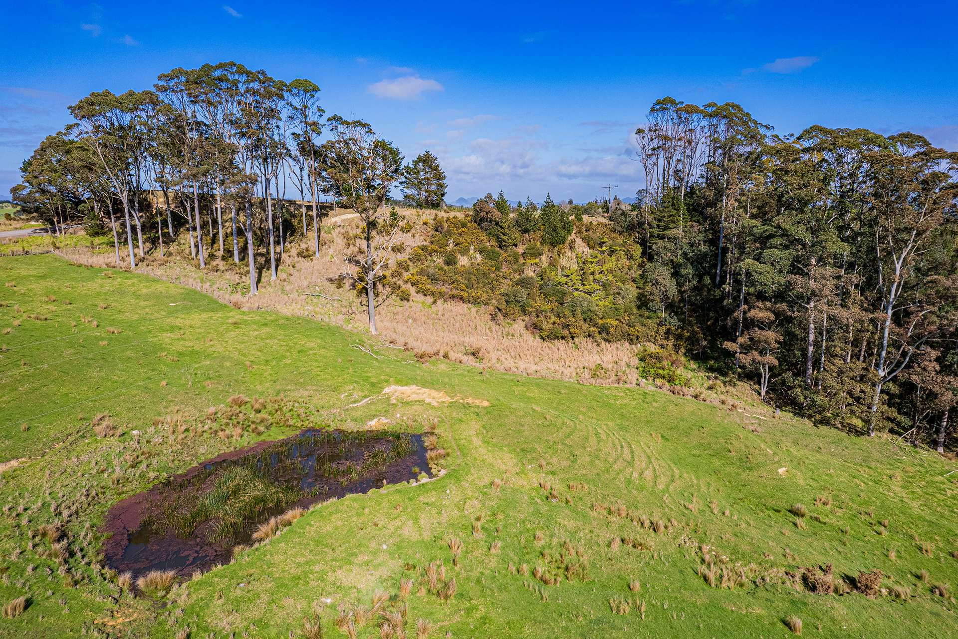 0 Cnr Milne and Aponga Stream Road photo 18