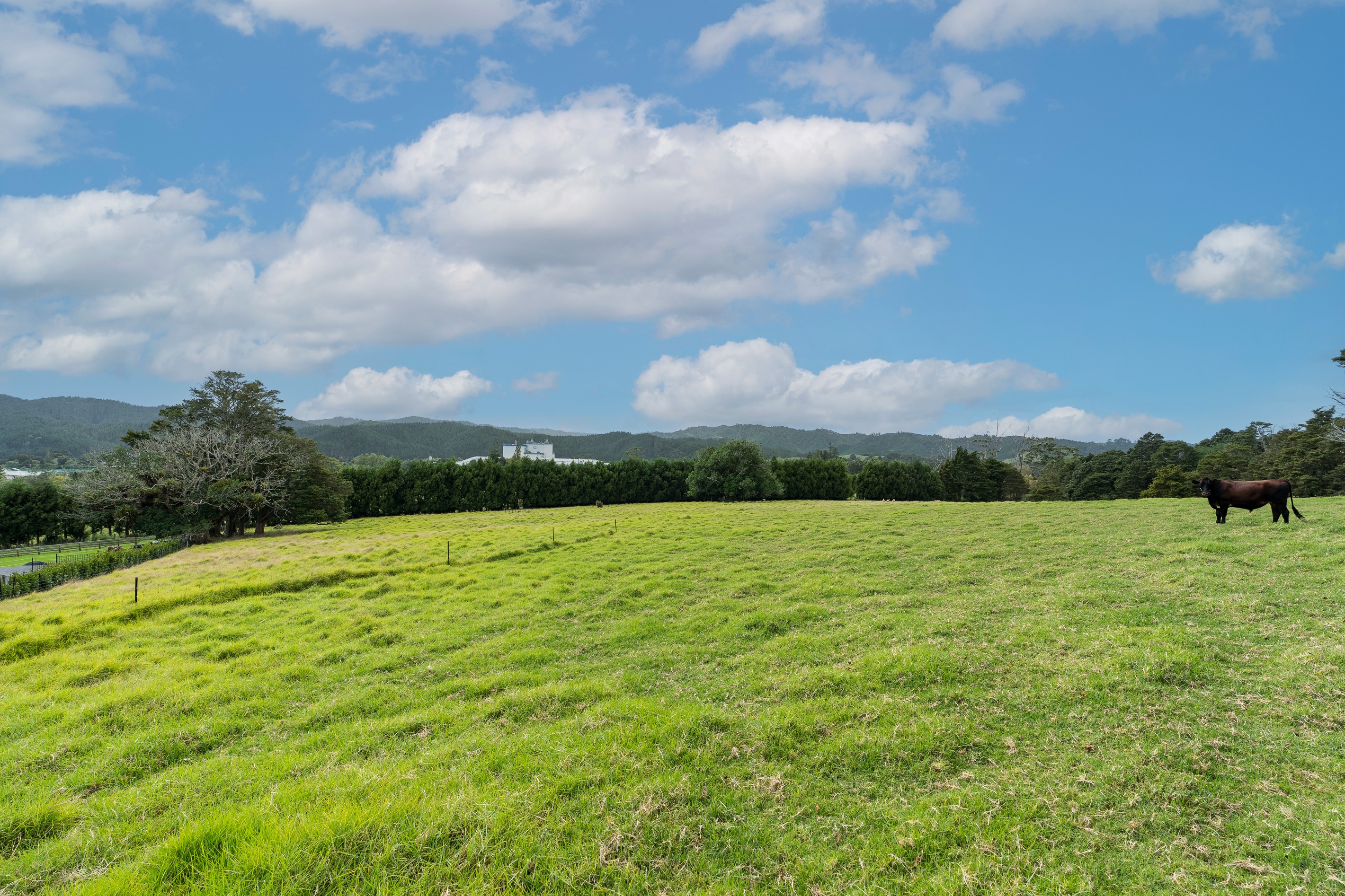 36 Dalkeith Drive, Kauri, Whangarei District