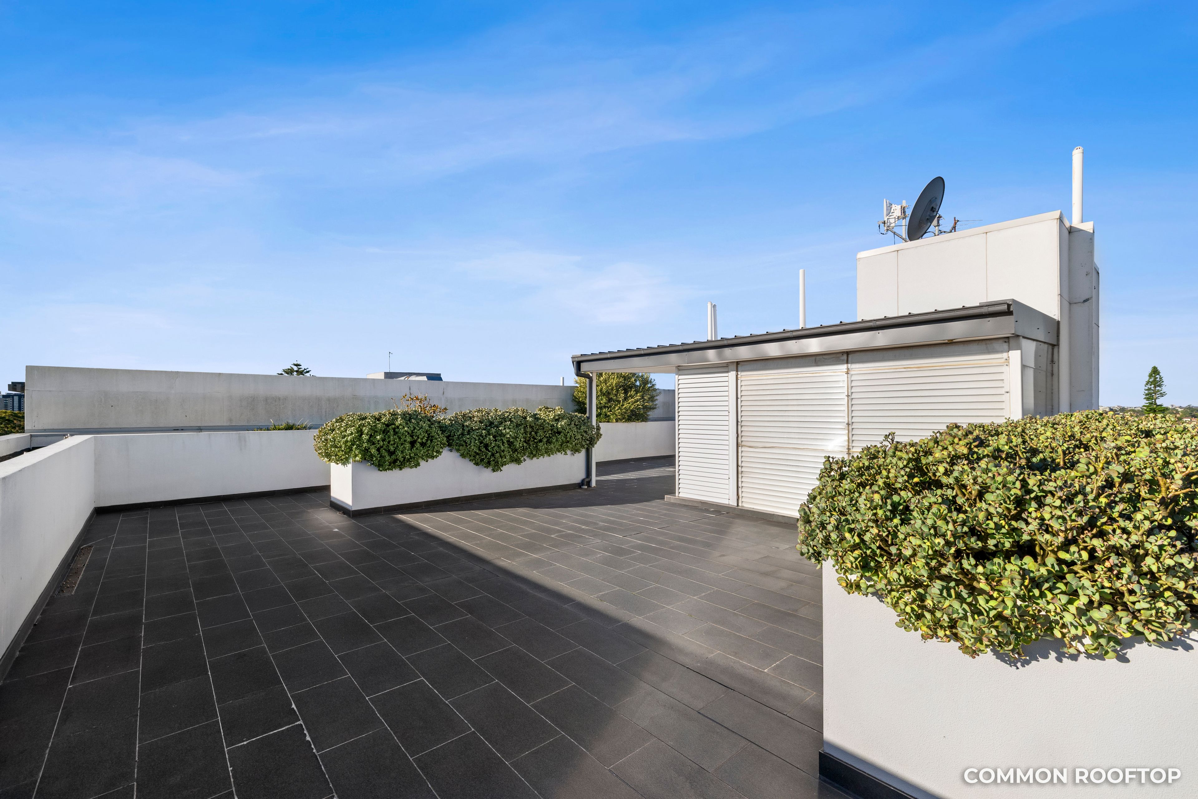 502/12-16 Burwood Road — photo 10 of 12