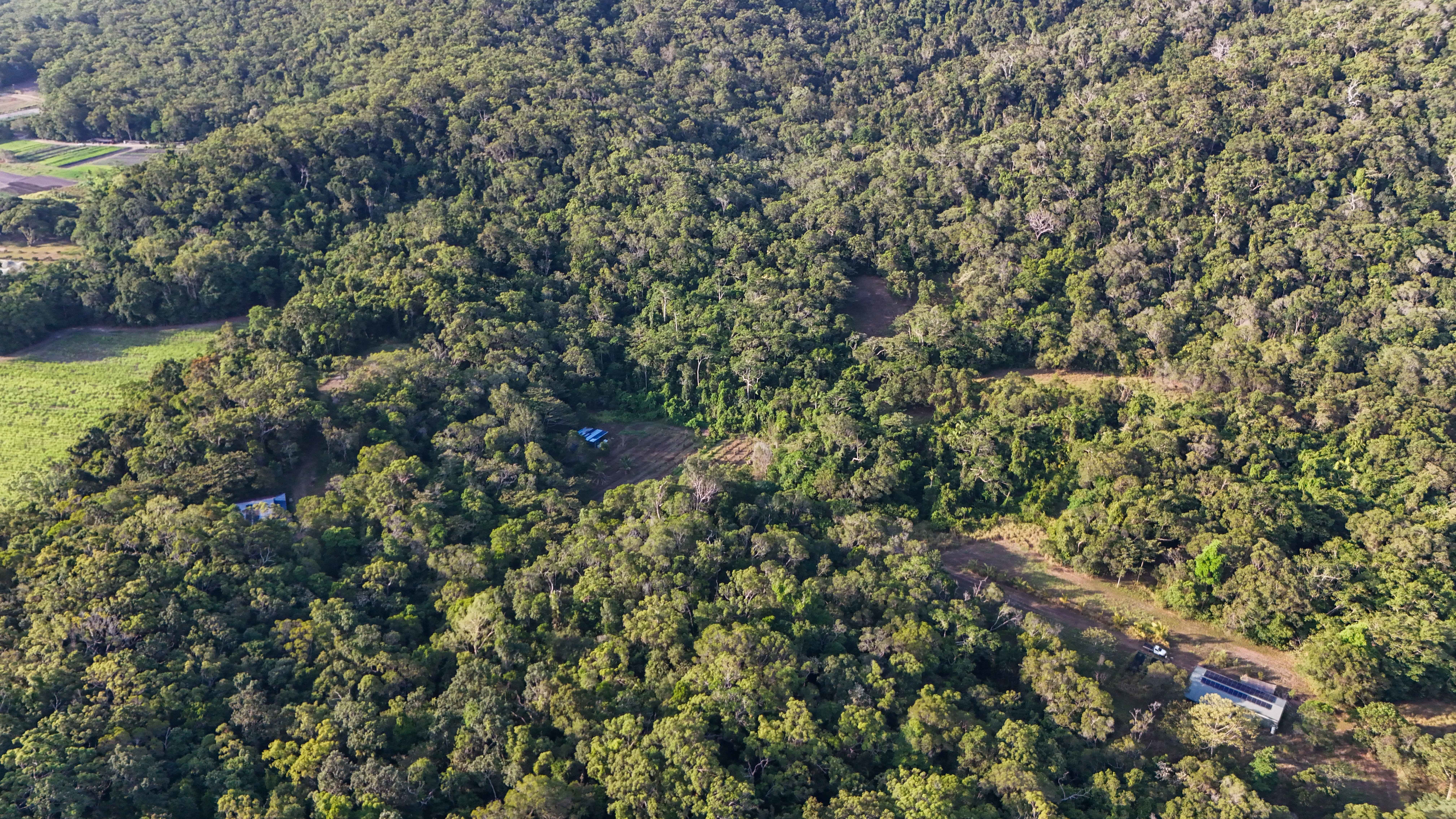 Create Your Idyllic Lifestyle to Include Future Potential Income on 342 acres — photo 27 of 30