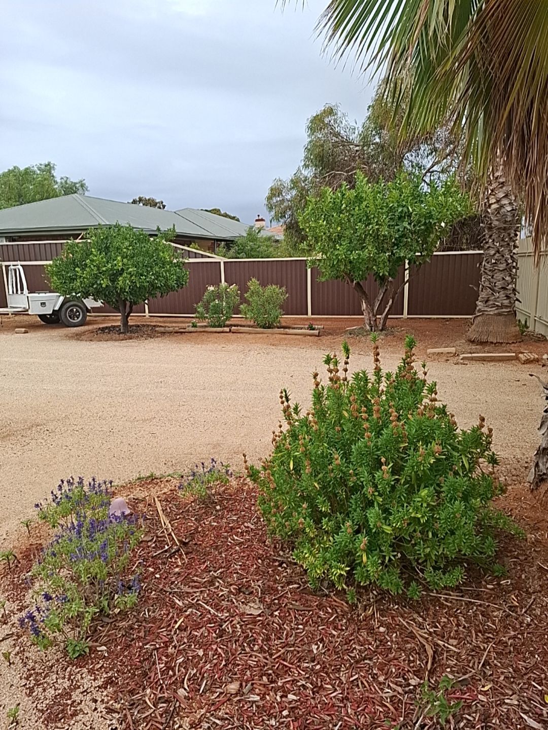 6 Nalara Avenue, Loxton, SA 5333