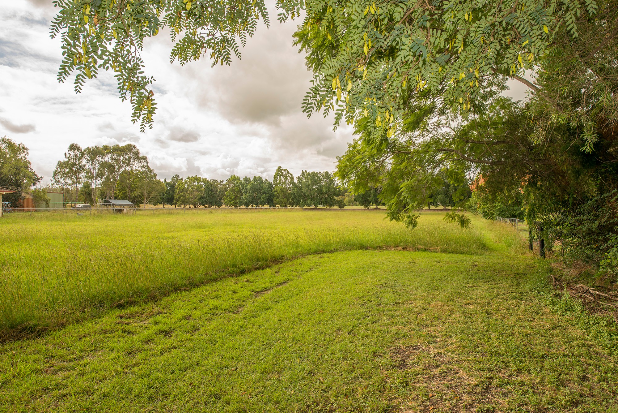 51-53 Carara Avenue, Thagoona, QLD 4306