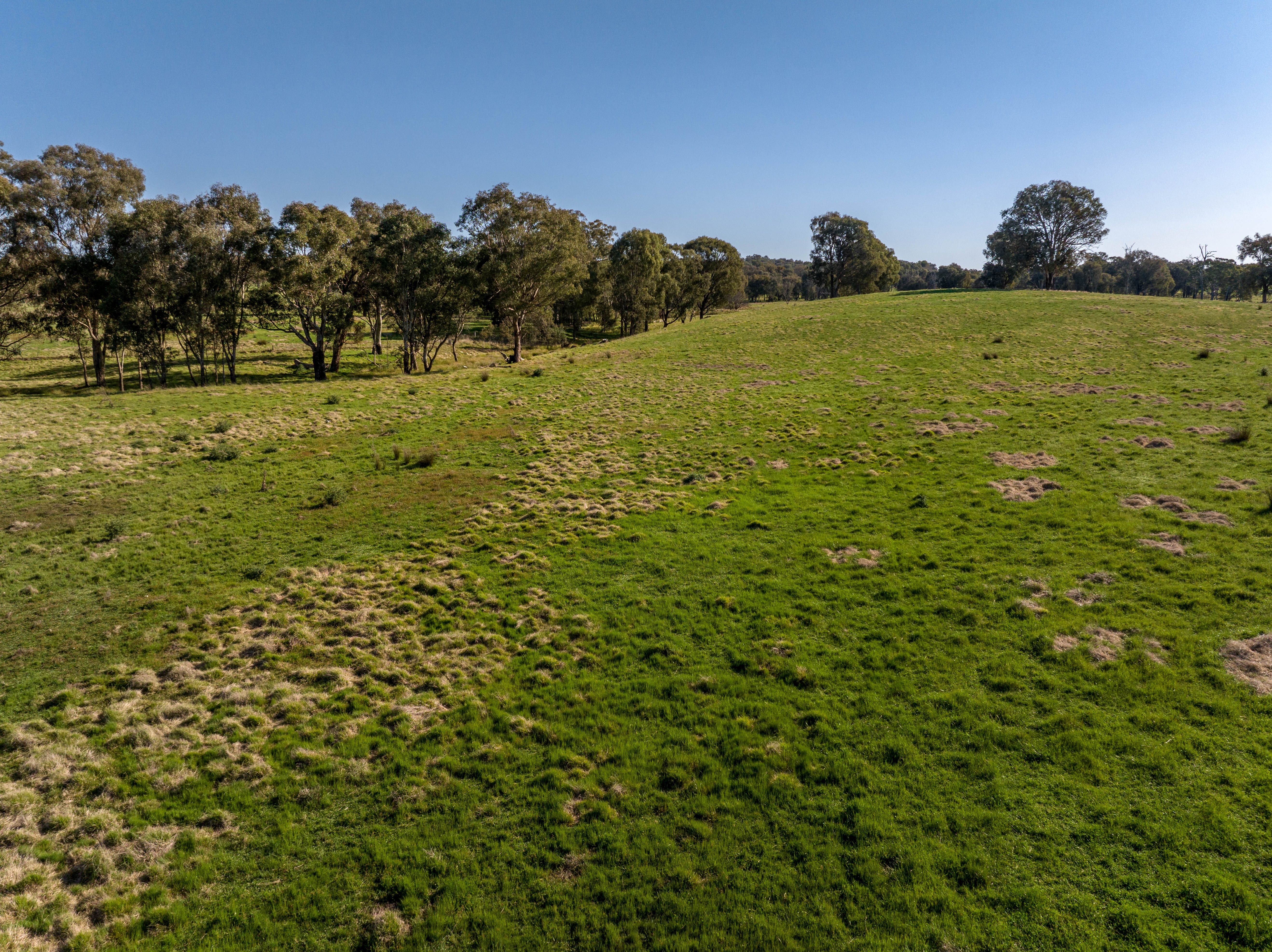 "Avonlea" 156 Comatawa Road, Tarcutta, NSW 2652 Sold Rural Mixed