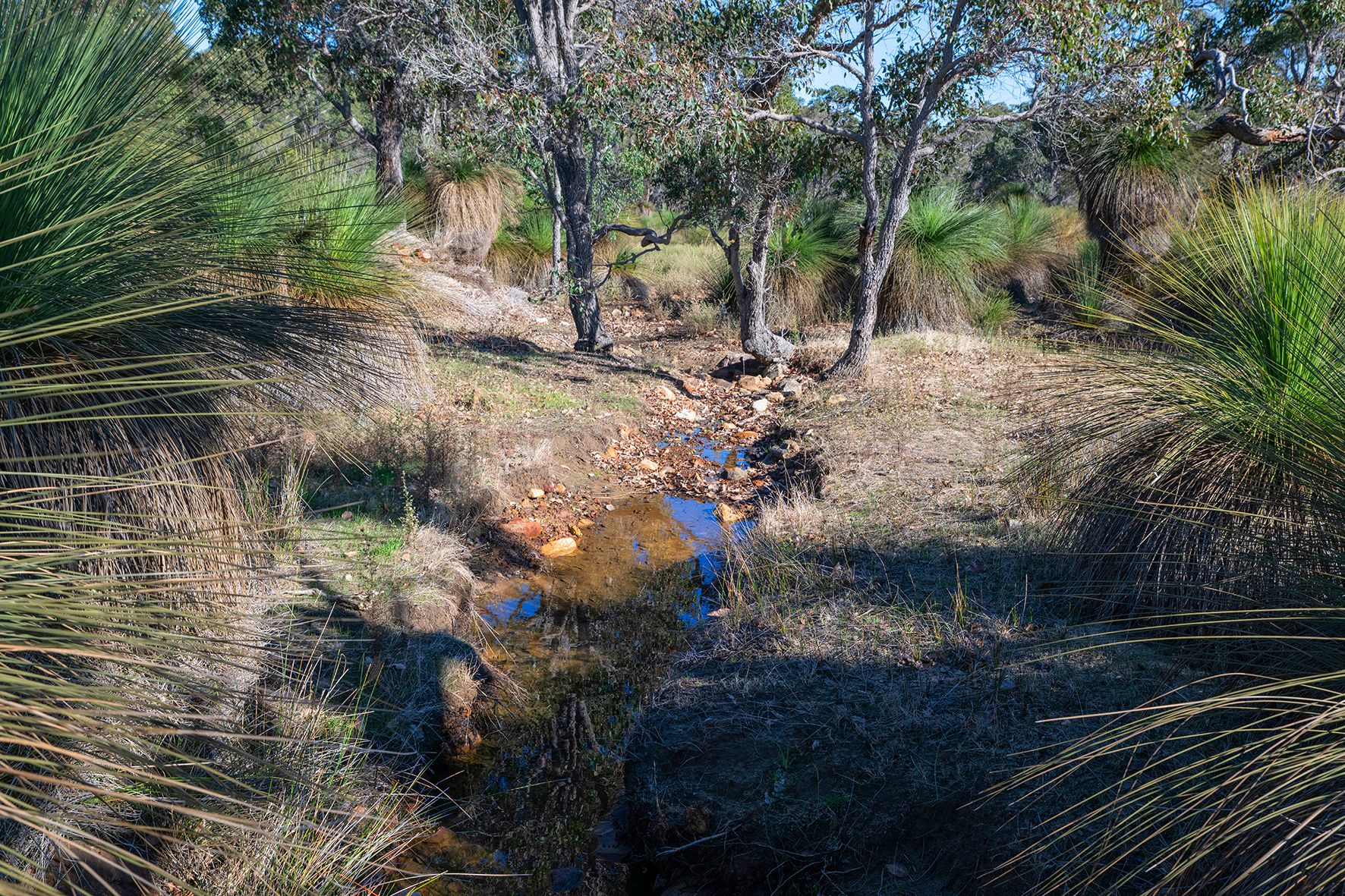93 Biddle Road — photo 7 of 12