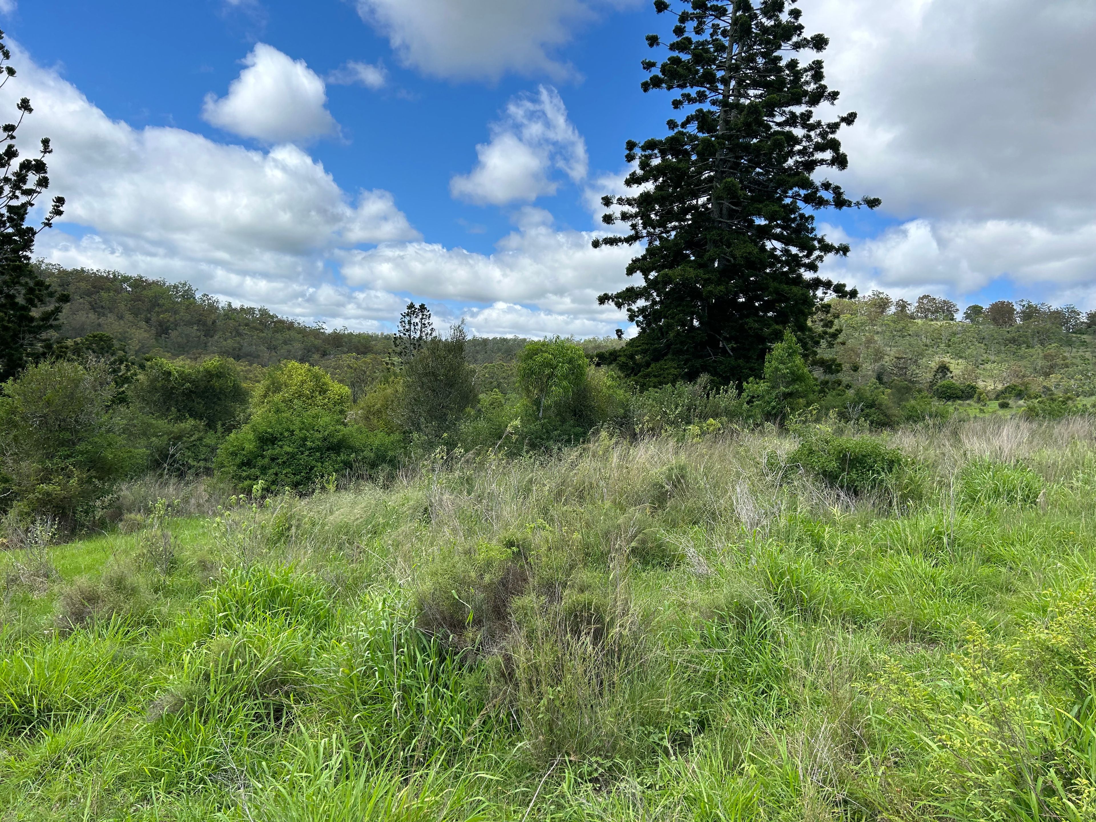 0 Dalby Cooyar Road, Nutgrove, QLD 4352 Rural Mixed Farming