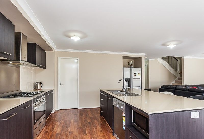 105 Cowen Terrace, North Lakes, QLD 4509