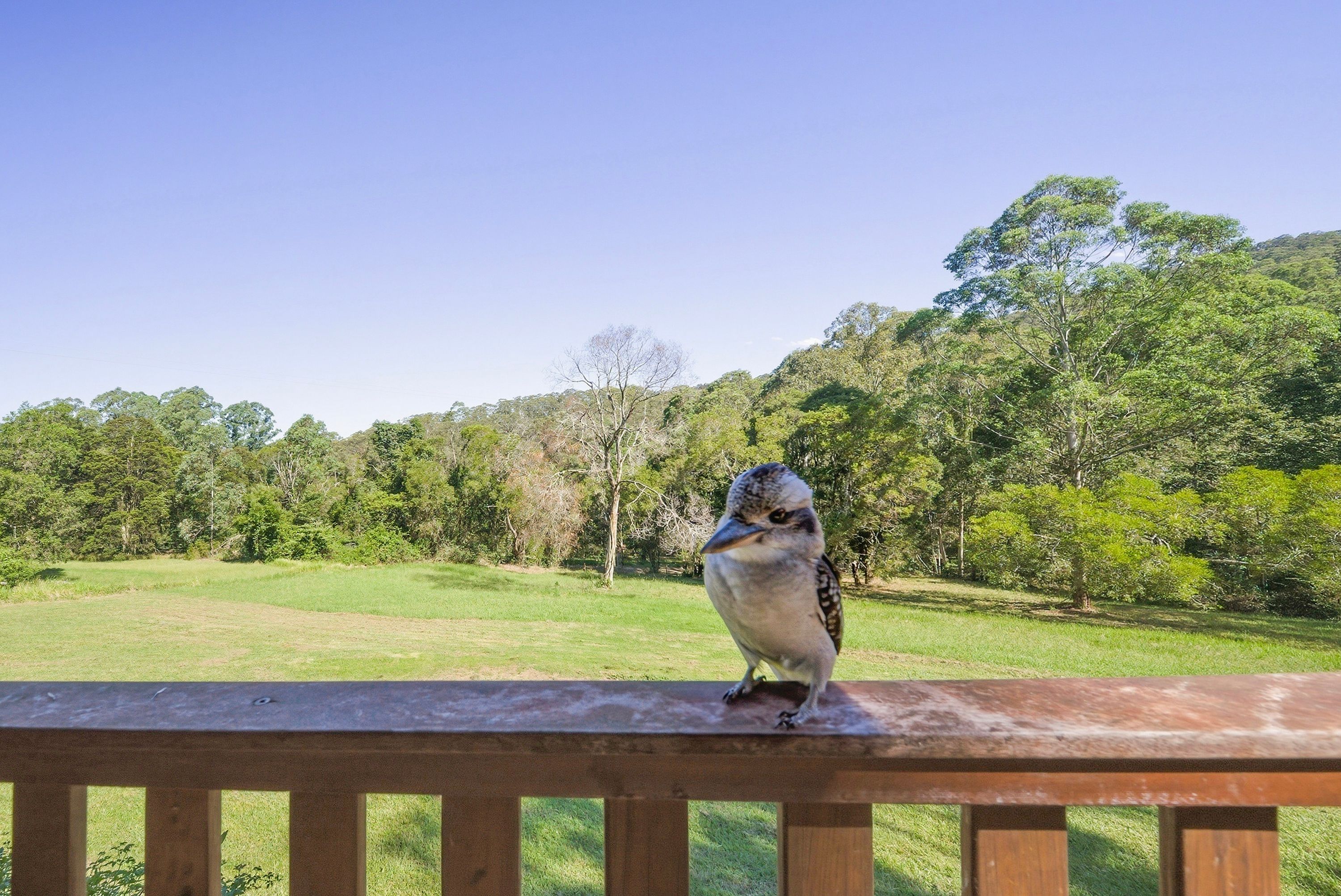 12/1953 Chichester Dam Road, Bandon Grove via, Dungog, NSW 2420