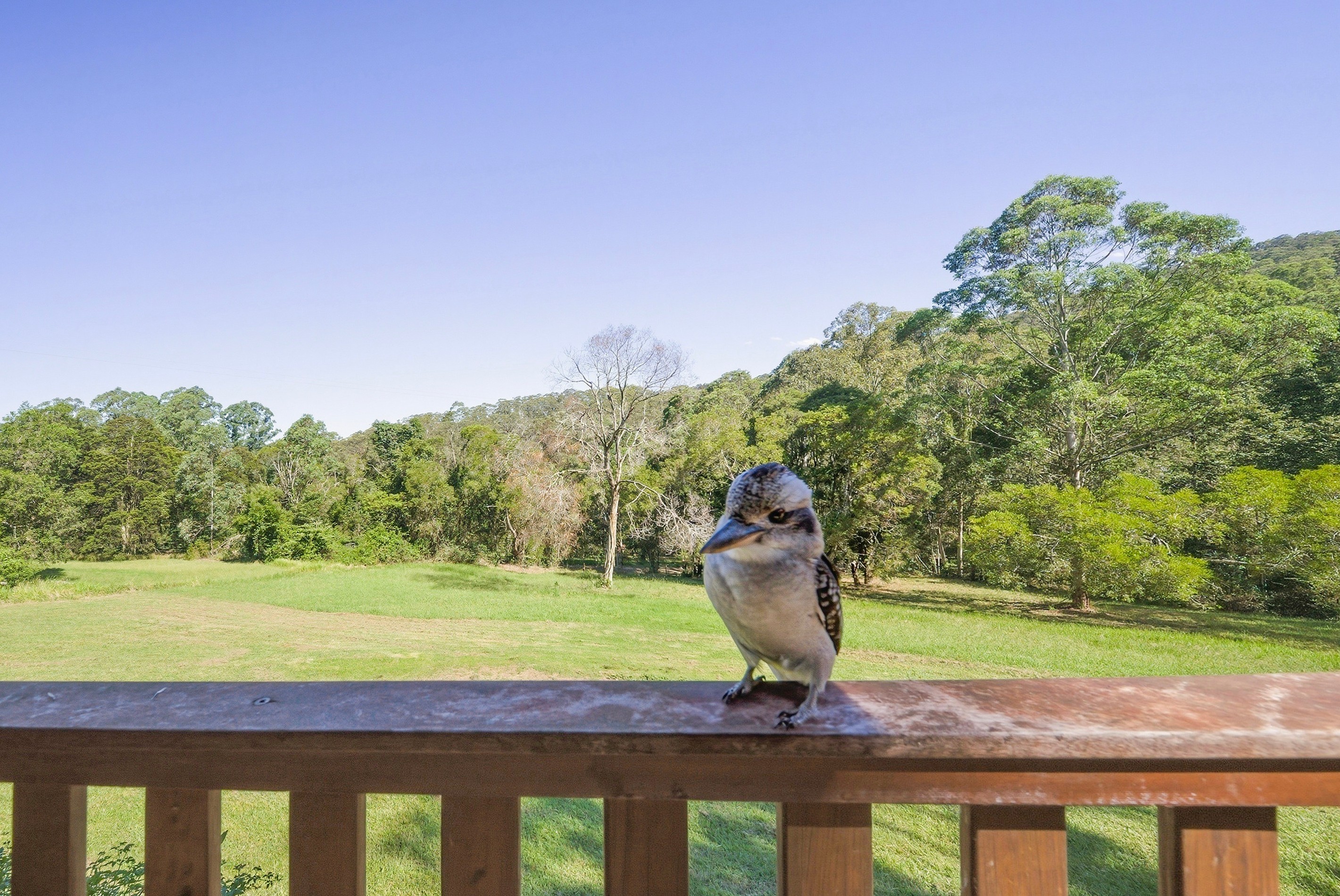 12/1953 Chichester Dam Road, Bandon Grove via, Dungog, NSW 2420