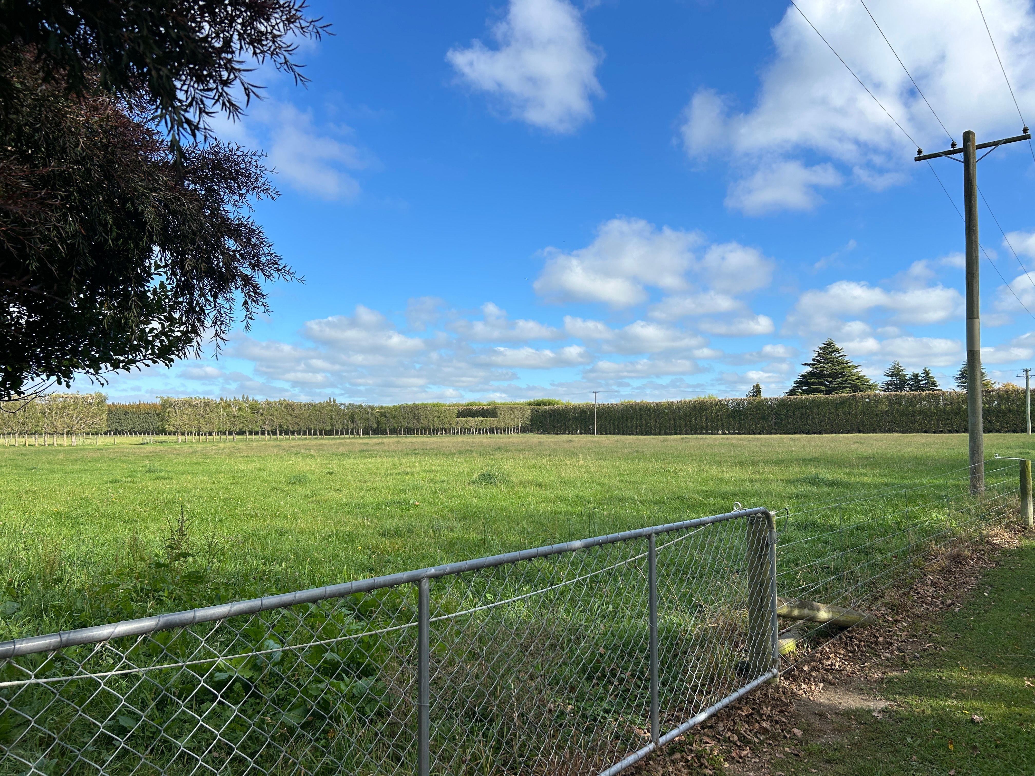 48 Glenbogle Drive, Rolleston, Selwyn District