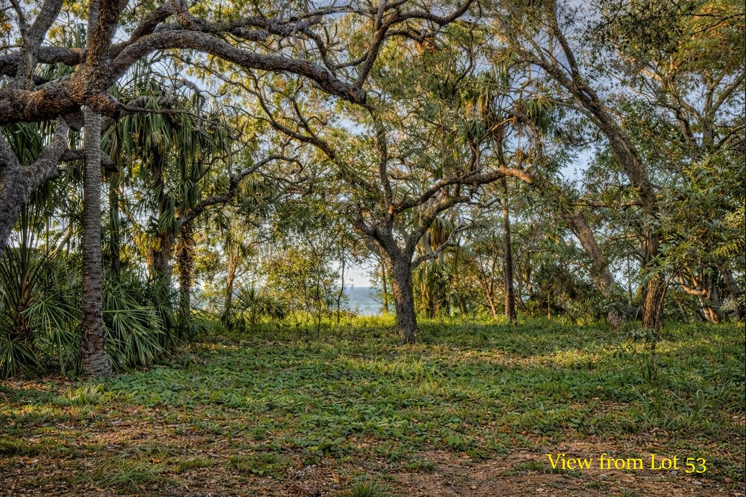 Lot 53 Bloodwood Avenue South, Agnes Water, QLD 4677