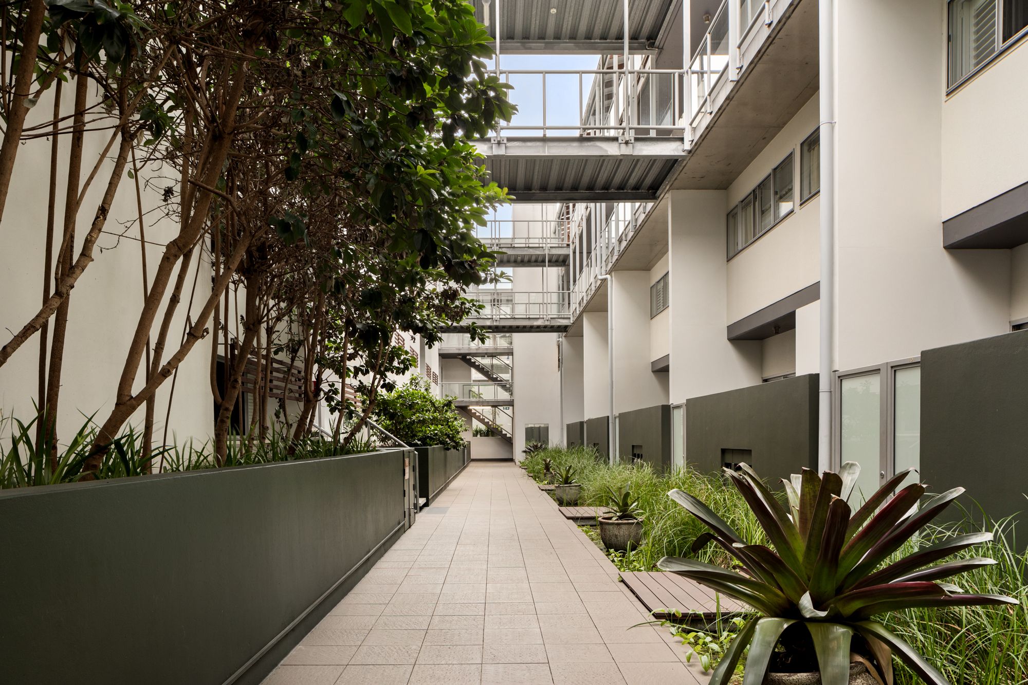 308/1 Ella Street — photo 13 of 13