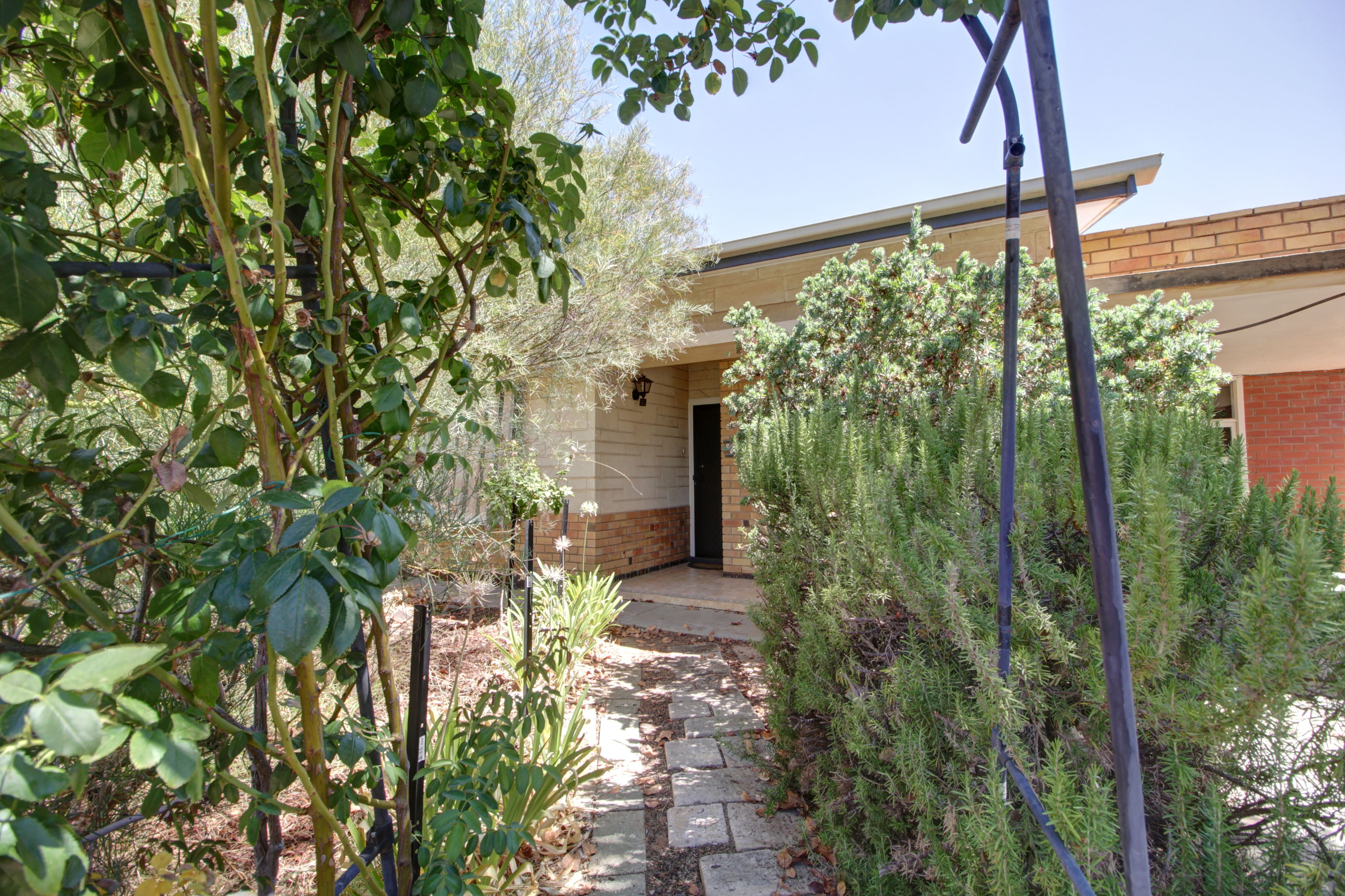 41 Seventeenth Street, Renmark SA 5341