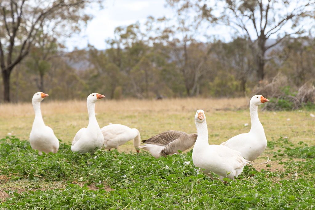 139 Valewood Road — photo 17 of 27