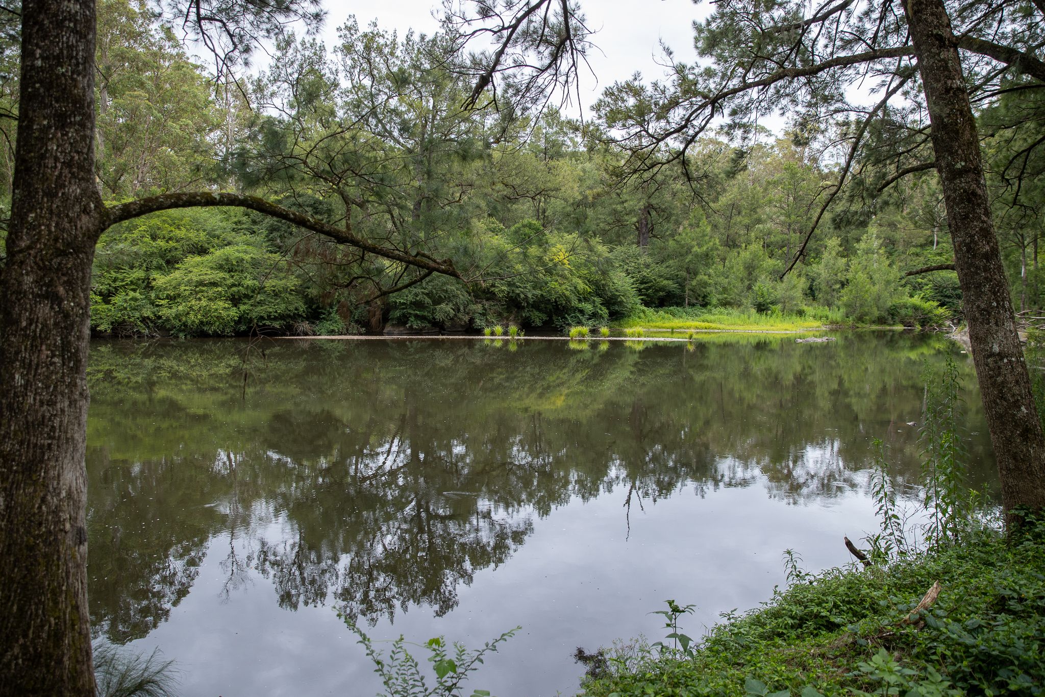 145 Moonpar Road, Bostobrick, NSW 2453